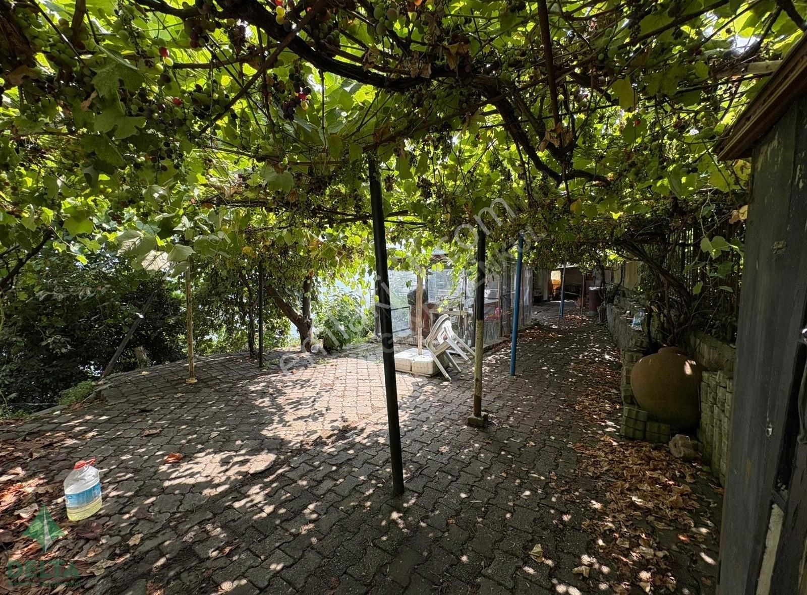 Delta Gayrimenkul'den Ordu Perşembe De Denize Sıfır Arsa... - Görsel 7