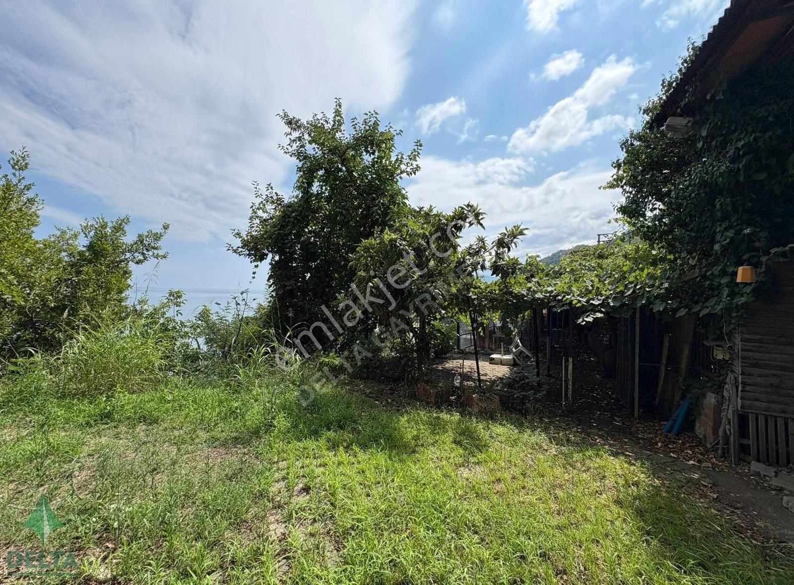 Delta Gayrimenkul'den Ordu Perşembe De Denize Sıfır Arsa... - Görsel 9