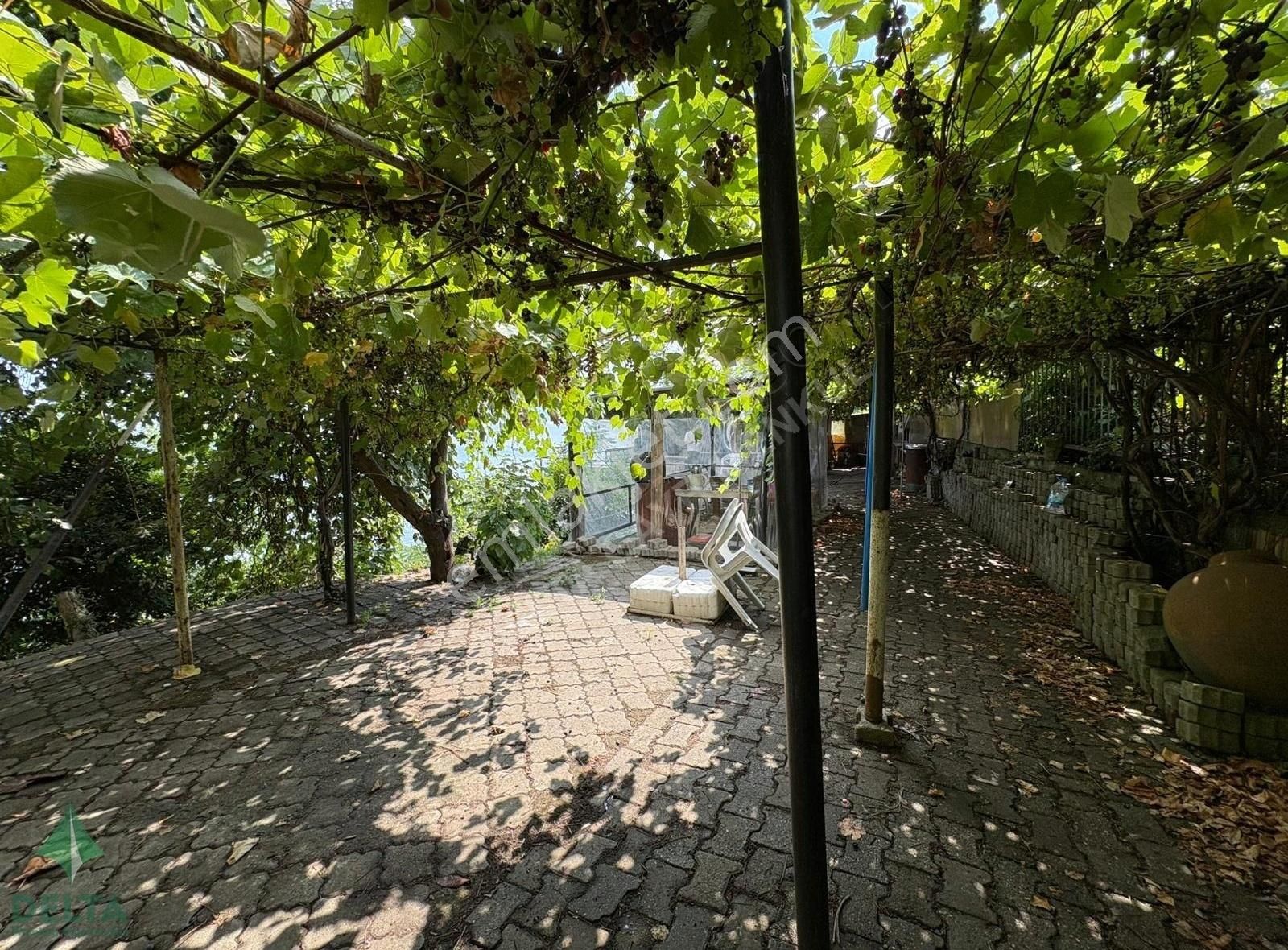 Delta Gayrimenkul'den Ordu Perşembe De Denize Sıfır Arsa... - Görsel 22