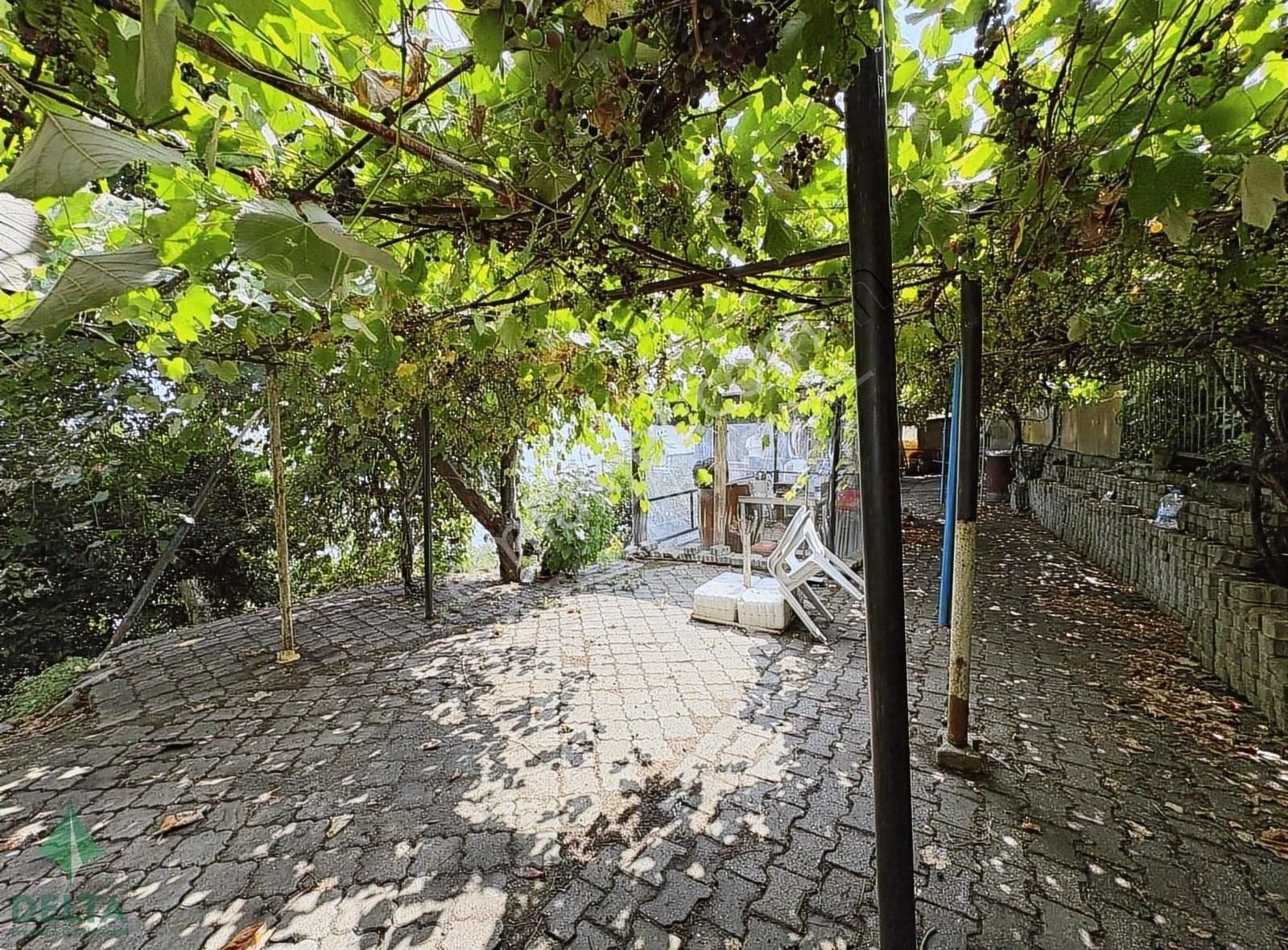 Delta Gayrimenkul'den Ordu Perşembe De Denize Sıfır Arsa... - Görsel 14