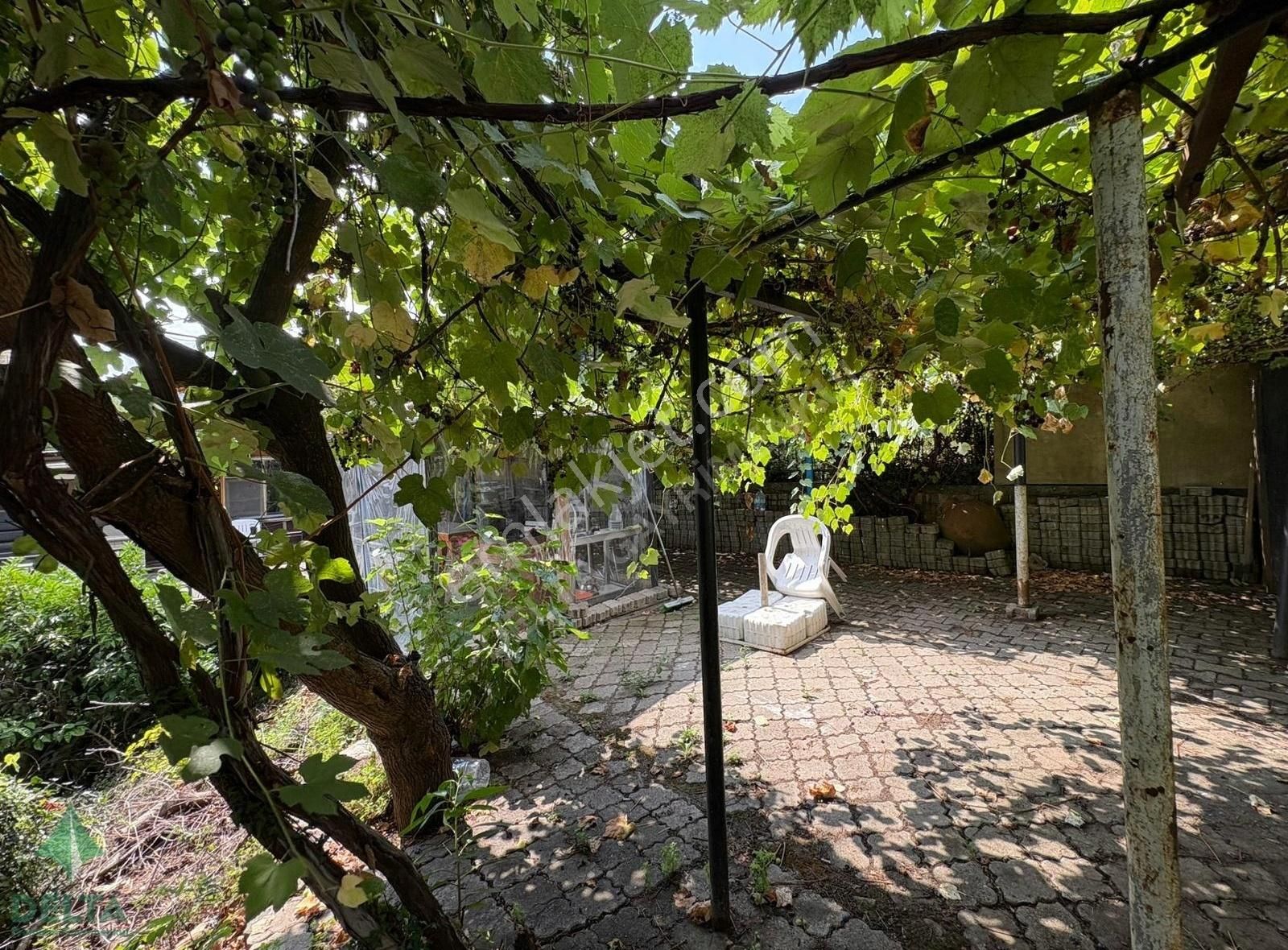 Delta Gayrimenkul'den Ordu Perşembe De Denize Sıfır Arsa... - Görsel 16