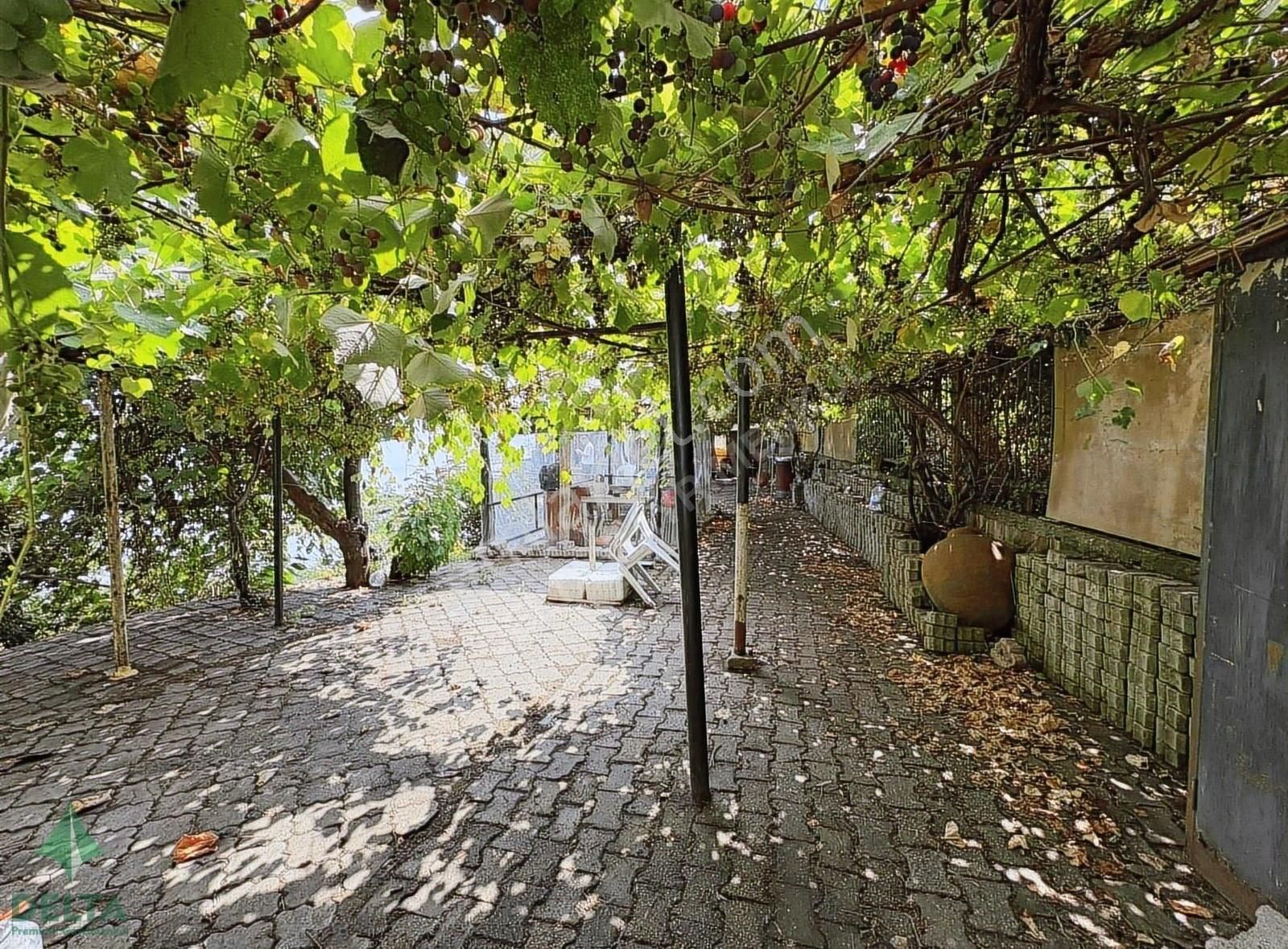 Delta Gayrimenkul'den Ordu Perşembe De Denize Sıfır Arsa... - Görsel 8