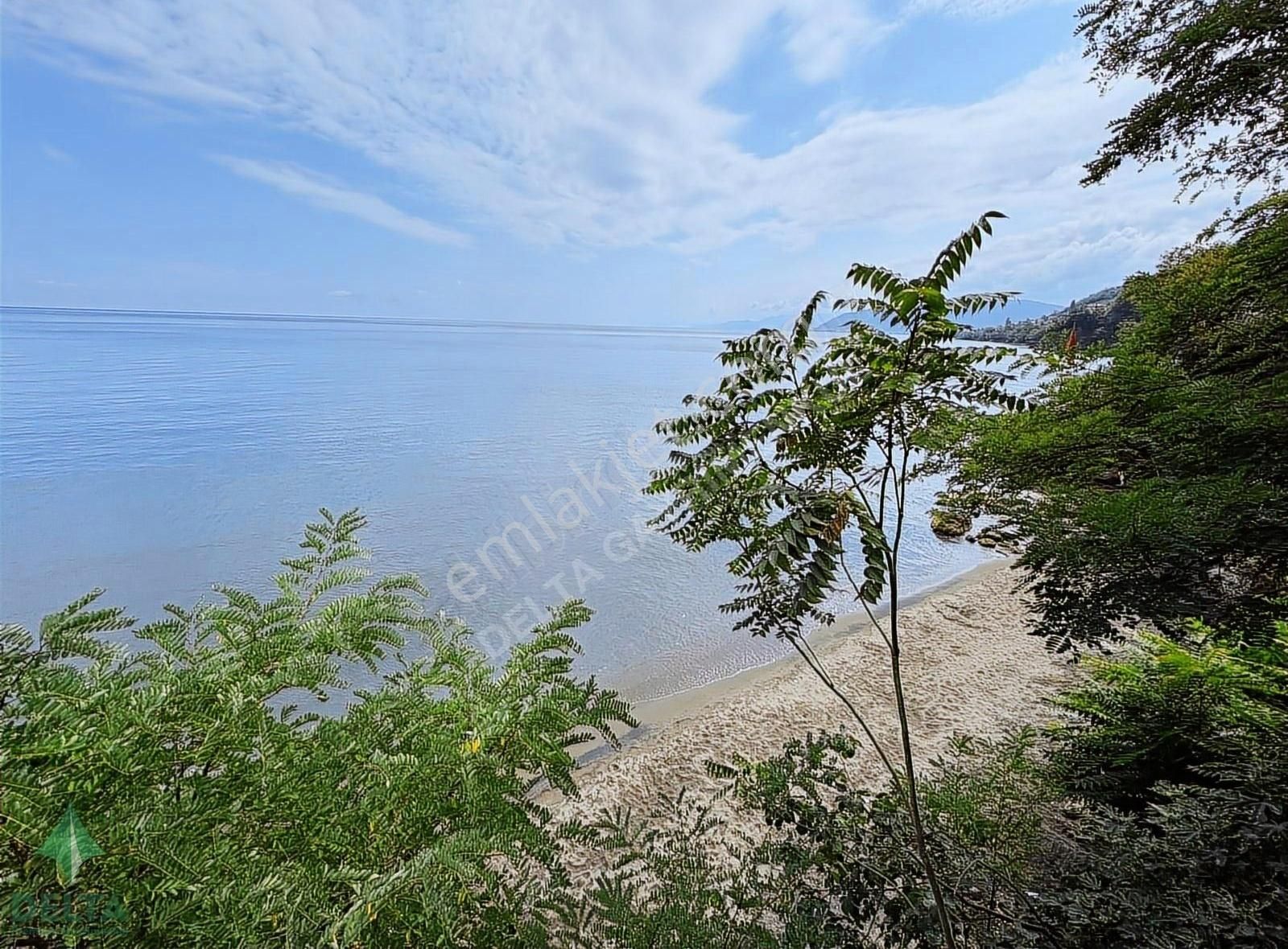 Delta Gayrimenkul'den Ordu Perşembe De Denize Sıfır Arsa... - Görsel 2