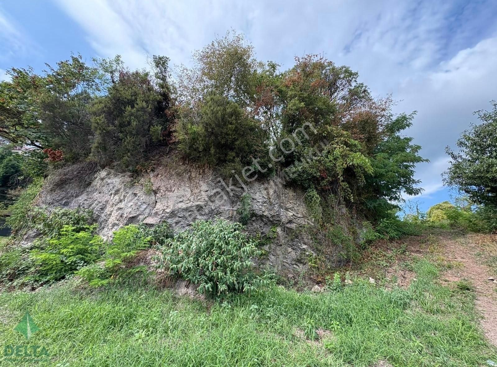 Delta Gayrimenkul'den Ordu Perşembe De Denize Sıfır Arsa... - Görsel 11