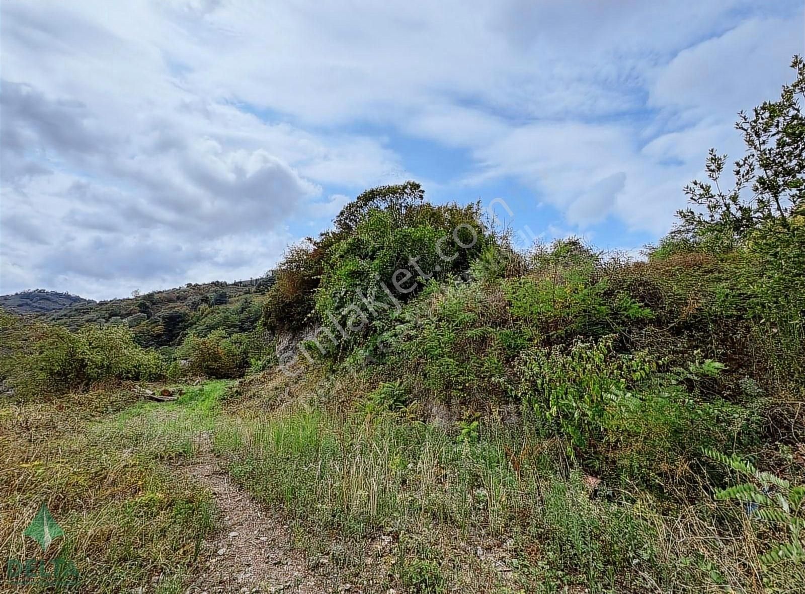 Delta Gayrimenkul'den Ordu Perşembe De Denize Sıfır Arsa... - Görsel 26