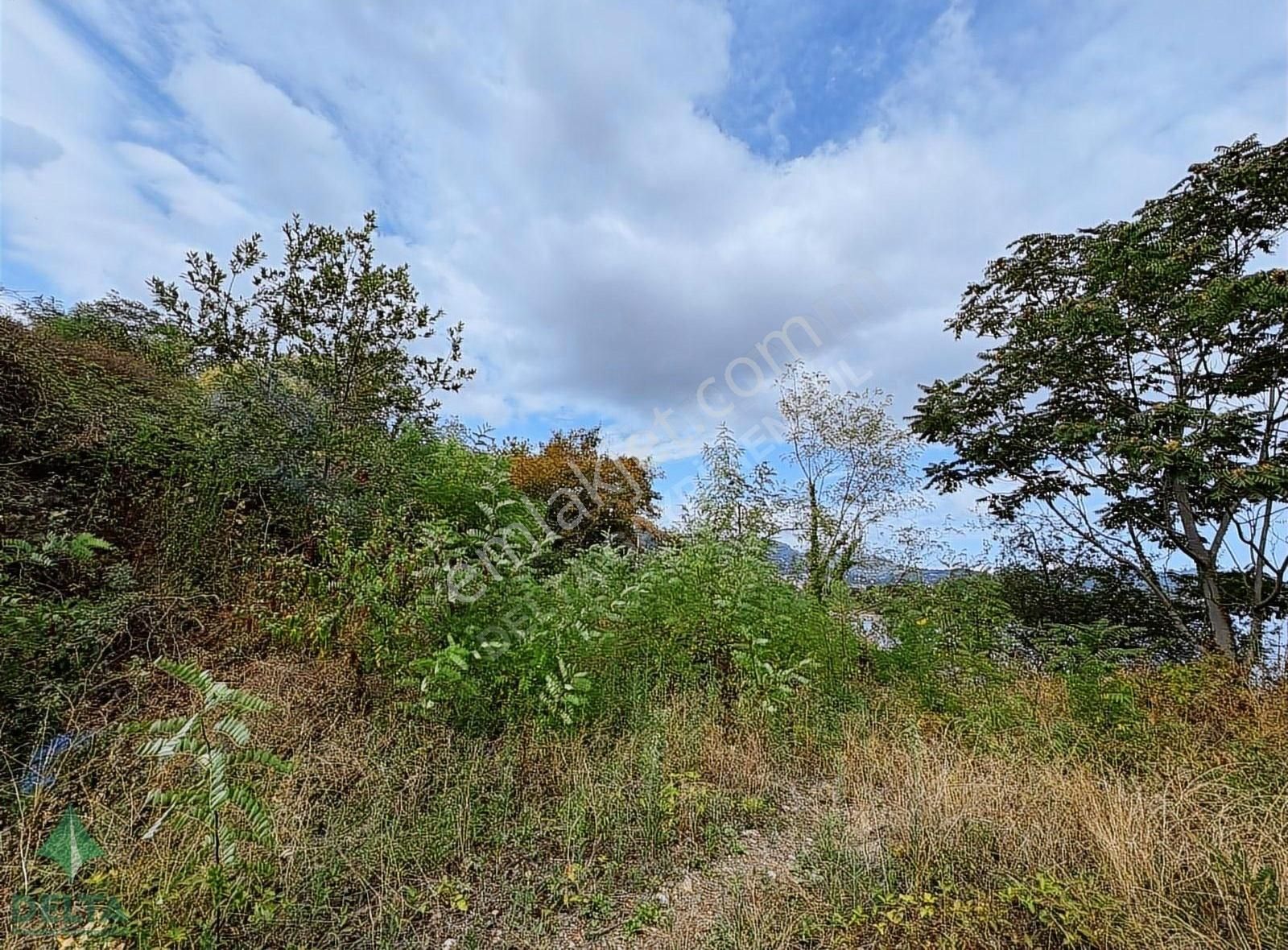 Delta Gayrimenkul'den Ordu Perşembe De Denize Sıfır Arsa... - Görsel 28