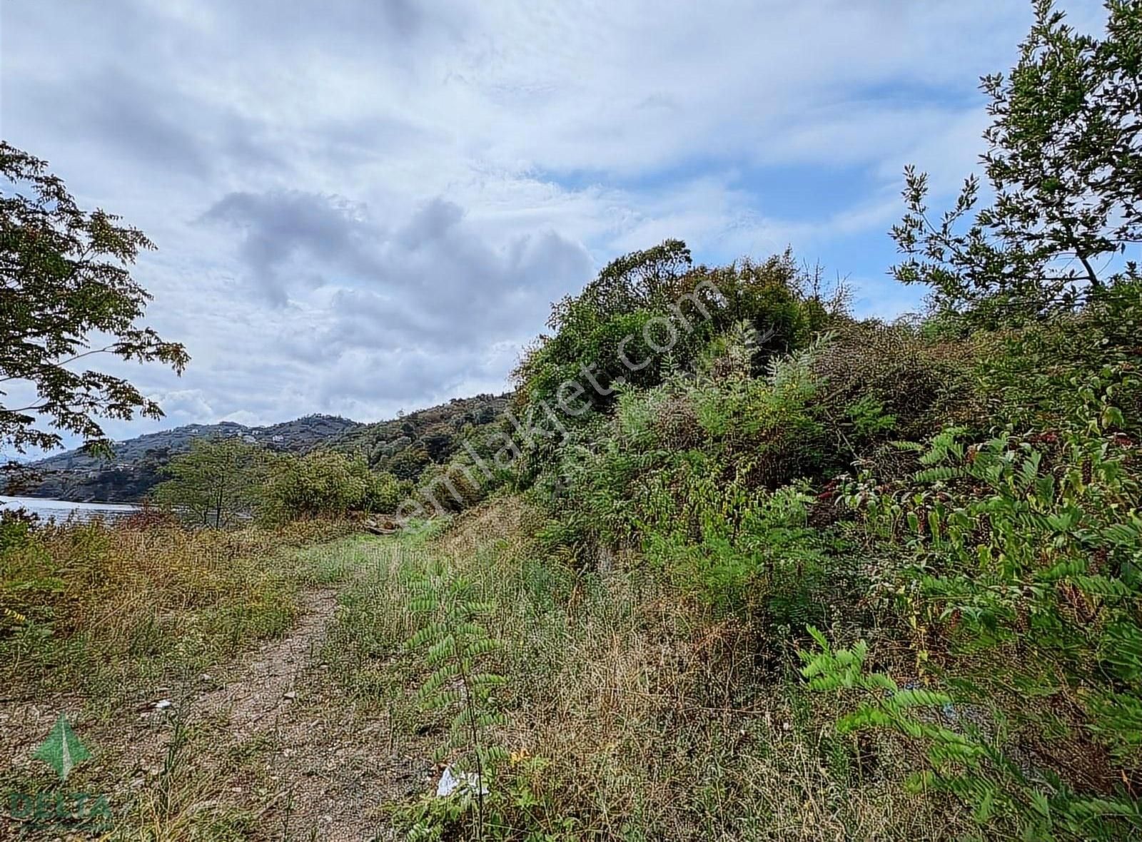Delta Gayrimenkul'den Ordu Perşembe De Denize Sıfır Arsa... - Görsel 10