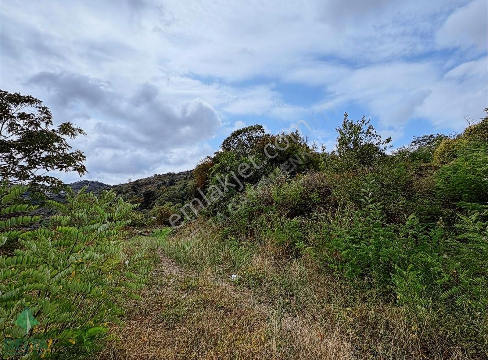 Delta Gayrimenkul'den Ordu Perşembe De Denize Sıfır Arsa... - Görsel 21