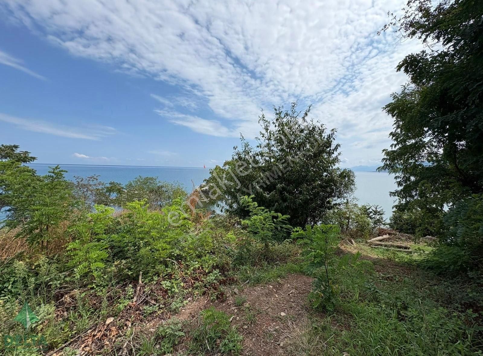 Delta Gayrimenkul'den Ordu Perşembe De Denize Sıfır Arsa... - Görsel 32