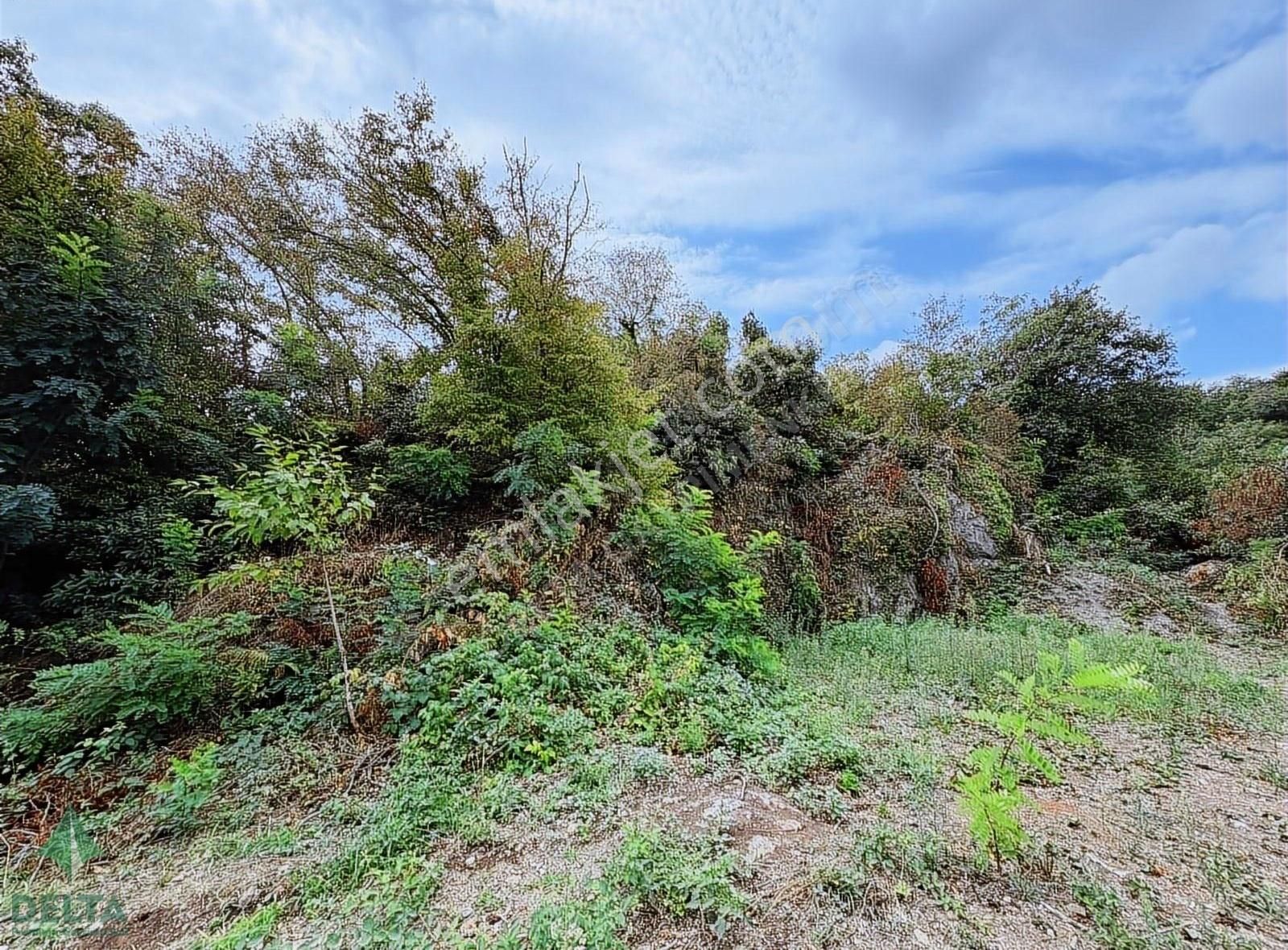 Delta Gayrimenkul'den Ordu Perşembe De Denize Sıfır Arsa... - Görsel 31