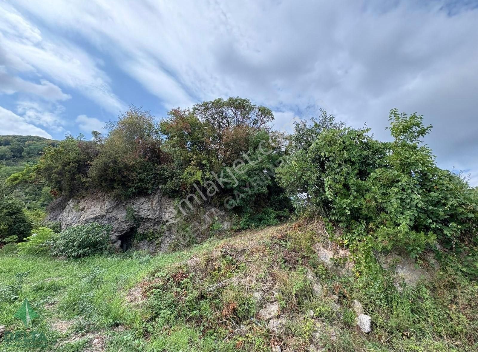 Delta Gayrimenkul'den Ordu Perşembe De Denize Sıfır Arsa... - Görsel 34