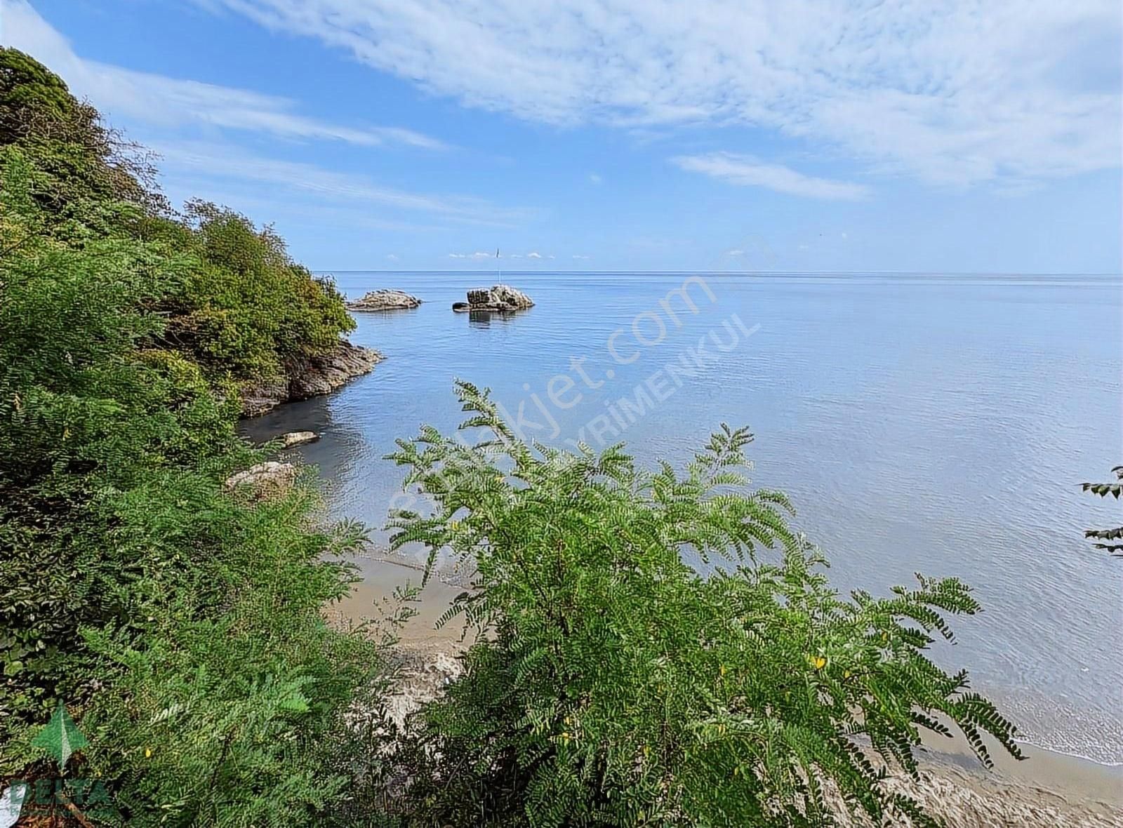 Delta Gayrimenkul'den Ordu Perşembe De Denize Sıfır Arsa... - Görsel 17