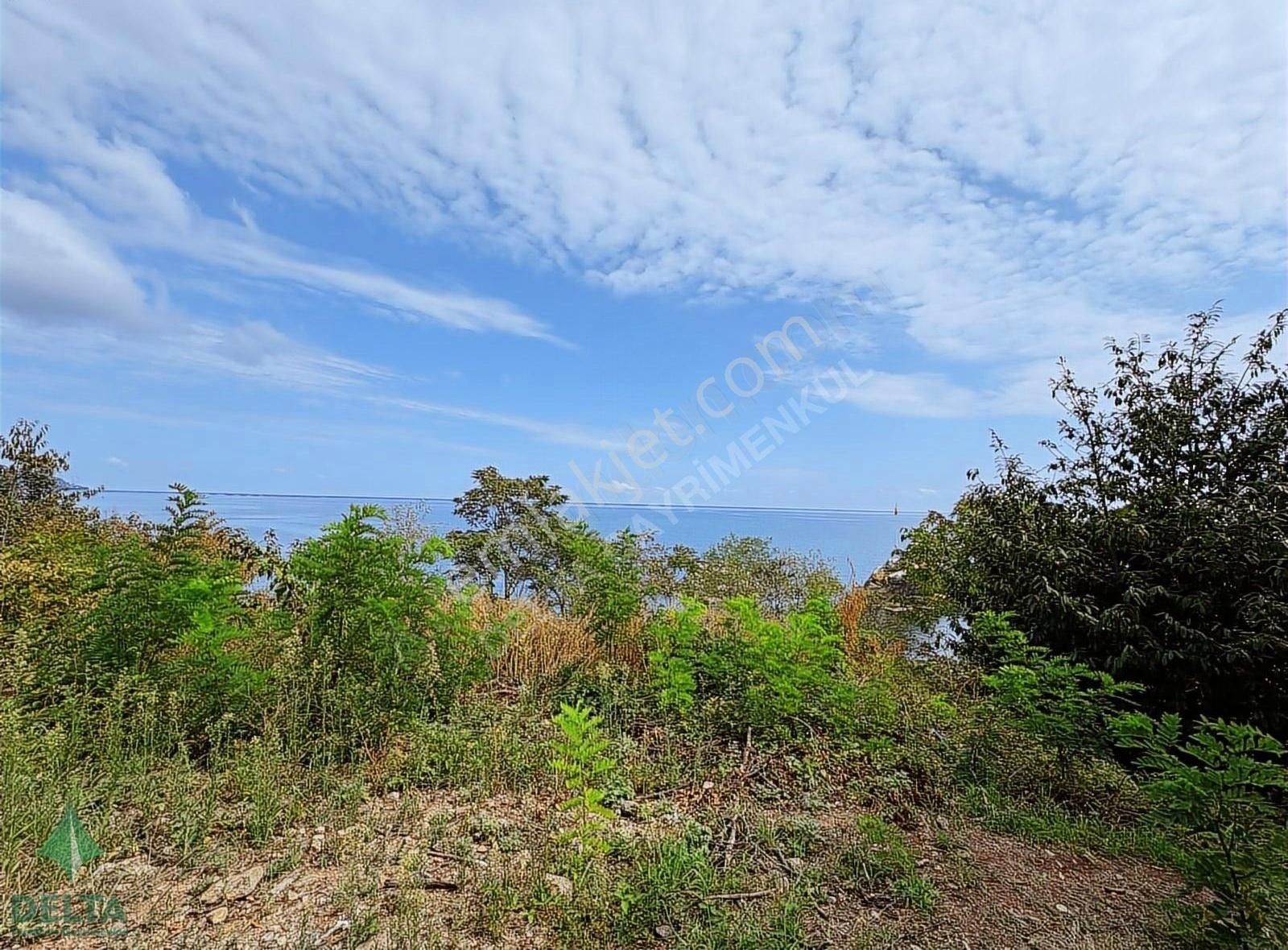 Delta Gayrimenkul'den Ordu Perşembe De Denize Sıfır Arsa... - Görsel 14