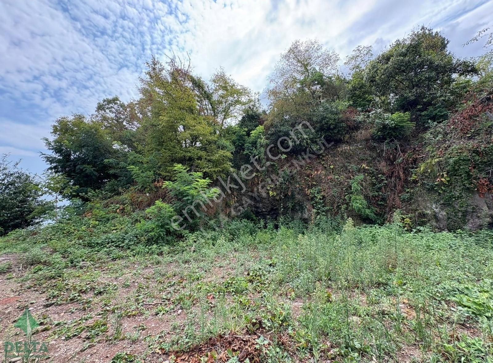 Delta Gayrimenkul'den Ordu Perşembe De Denize Sıfır Arsa... - Görsel 23