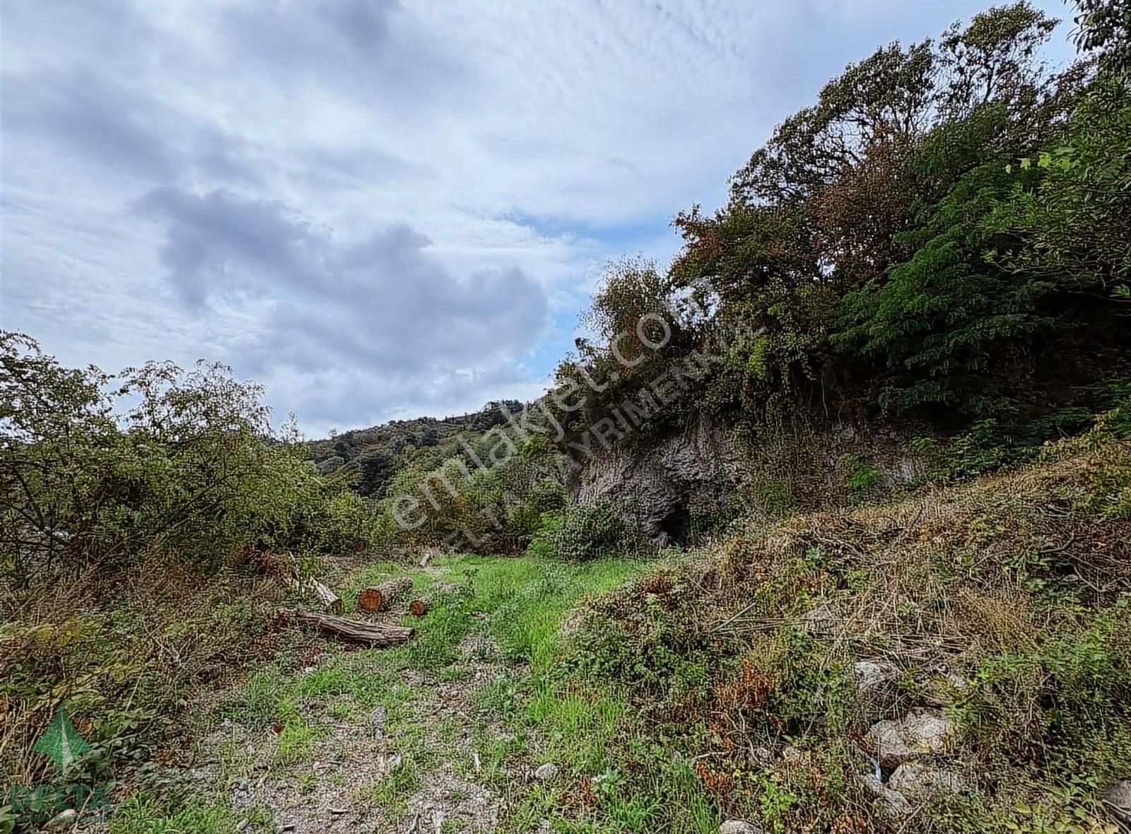 Delta Gayrimenkul'den Ordu Perşembe De Denize Sıfır Arsa... - Görsel 35