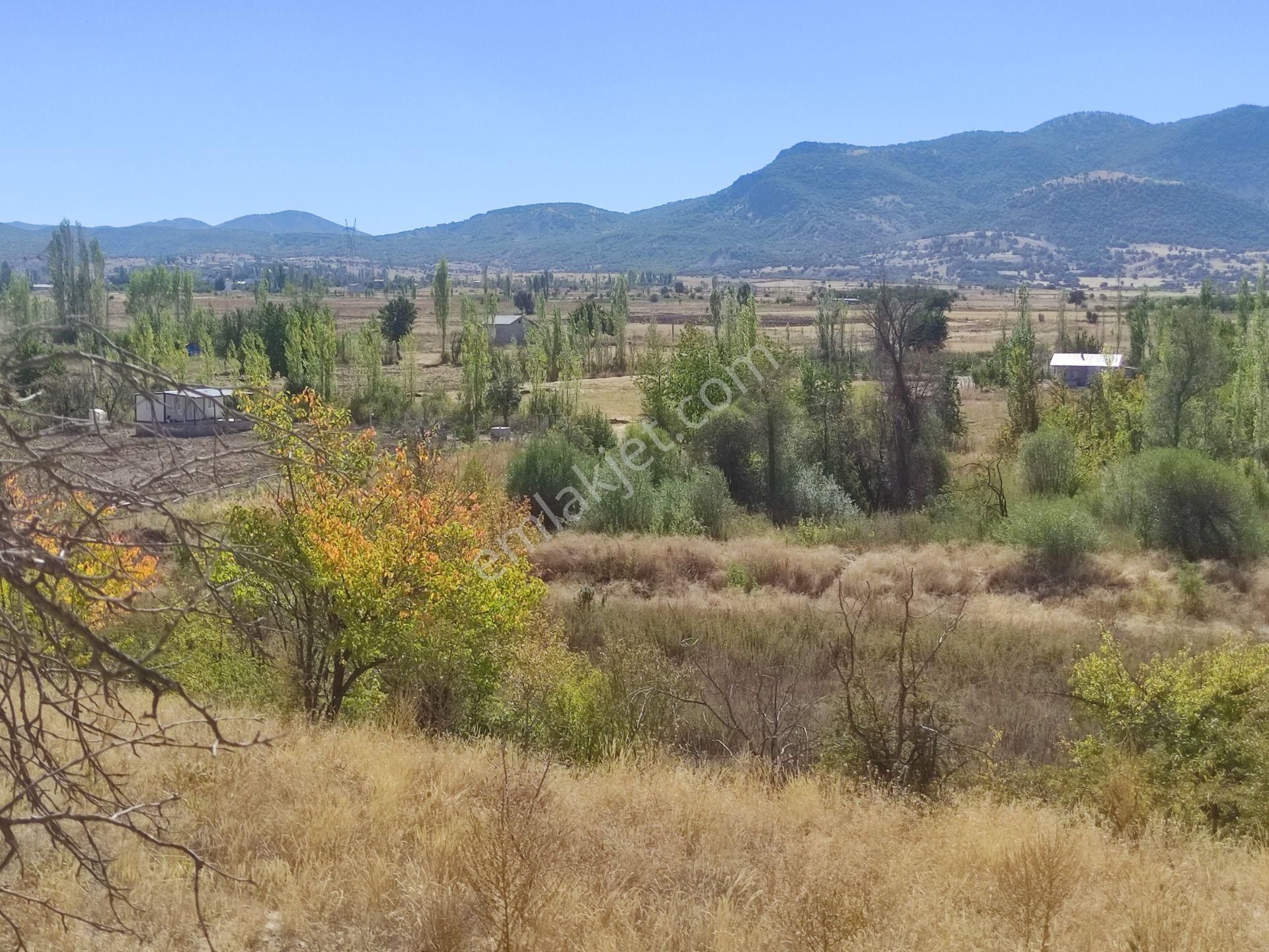 Özpınar ,dan Tol Satılık Sulu Tarla 4400 M2 Anayola 1 Km. - Görsel 34