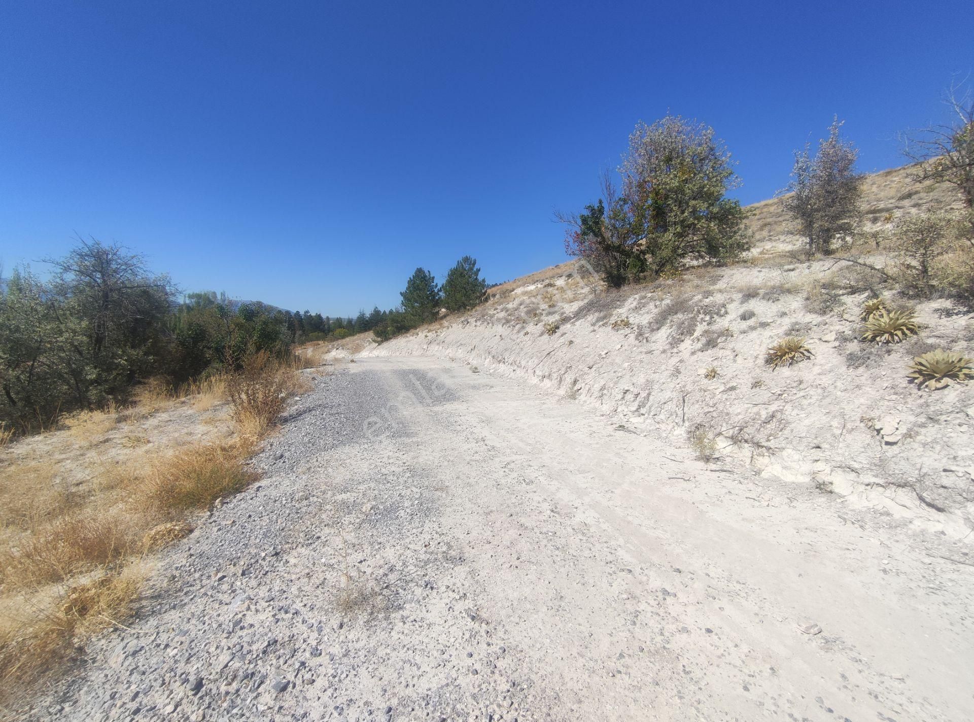 Özpınar ,dan Tol Satılık Sulu Tarla 4400 M2 Anayola 1 Km. - Görsel 13