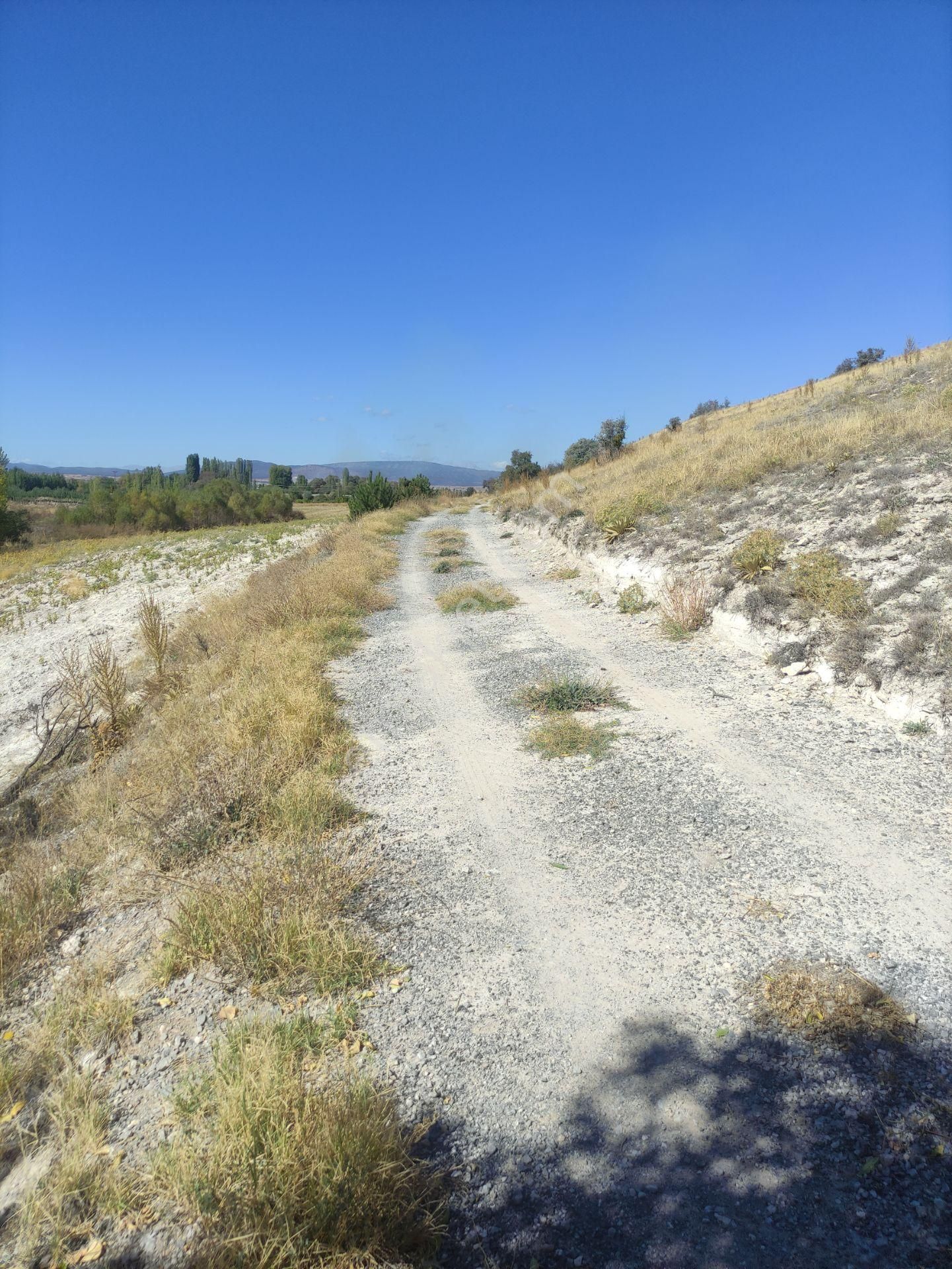 Özpınar ,dan Tol Satılık Sulu Tarla 4400 M2 Anayola 1 Km. - Görsel 9