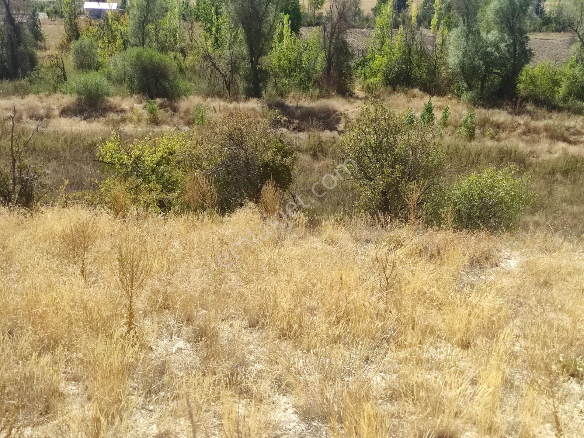 Özpınar ,dan Tol Satılık Sulu Tarla 4400 M2 Anayola 1 Km. - Görsel 35