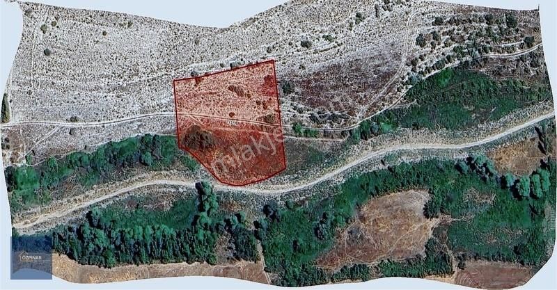 Özpınar ,dan Tol Satılık Sulu Tarla 4400 M2 Anayola 1 Km. - Görsel 5