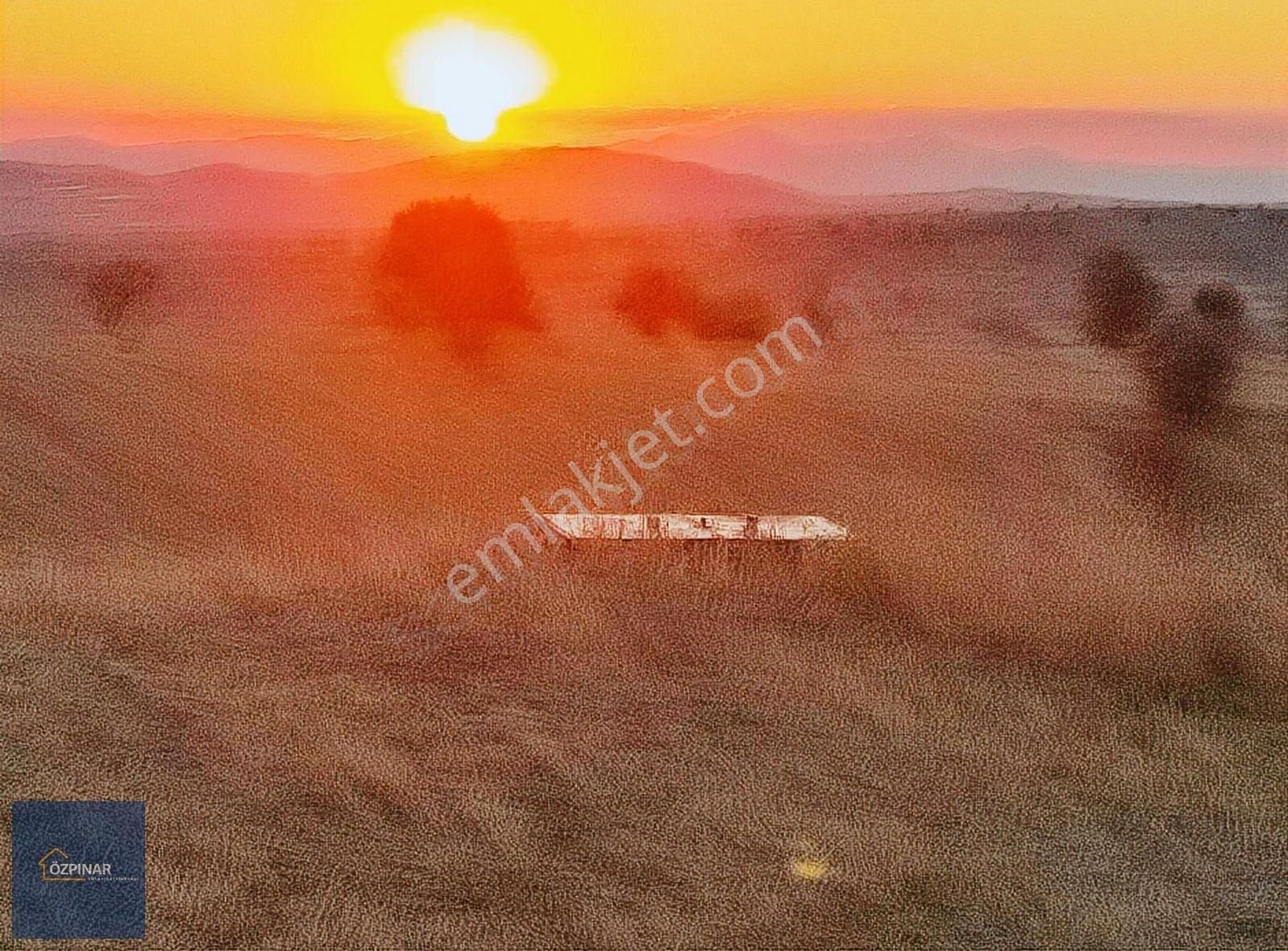 Özpınar ,dan Tol Satılık Sulu Tarla 4400 M2 Anayola 1 Km. - Görsel 2