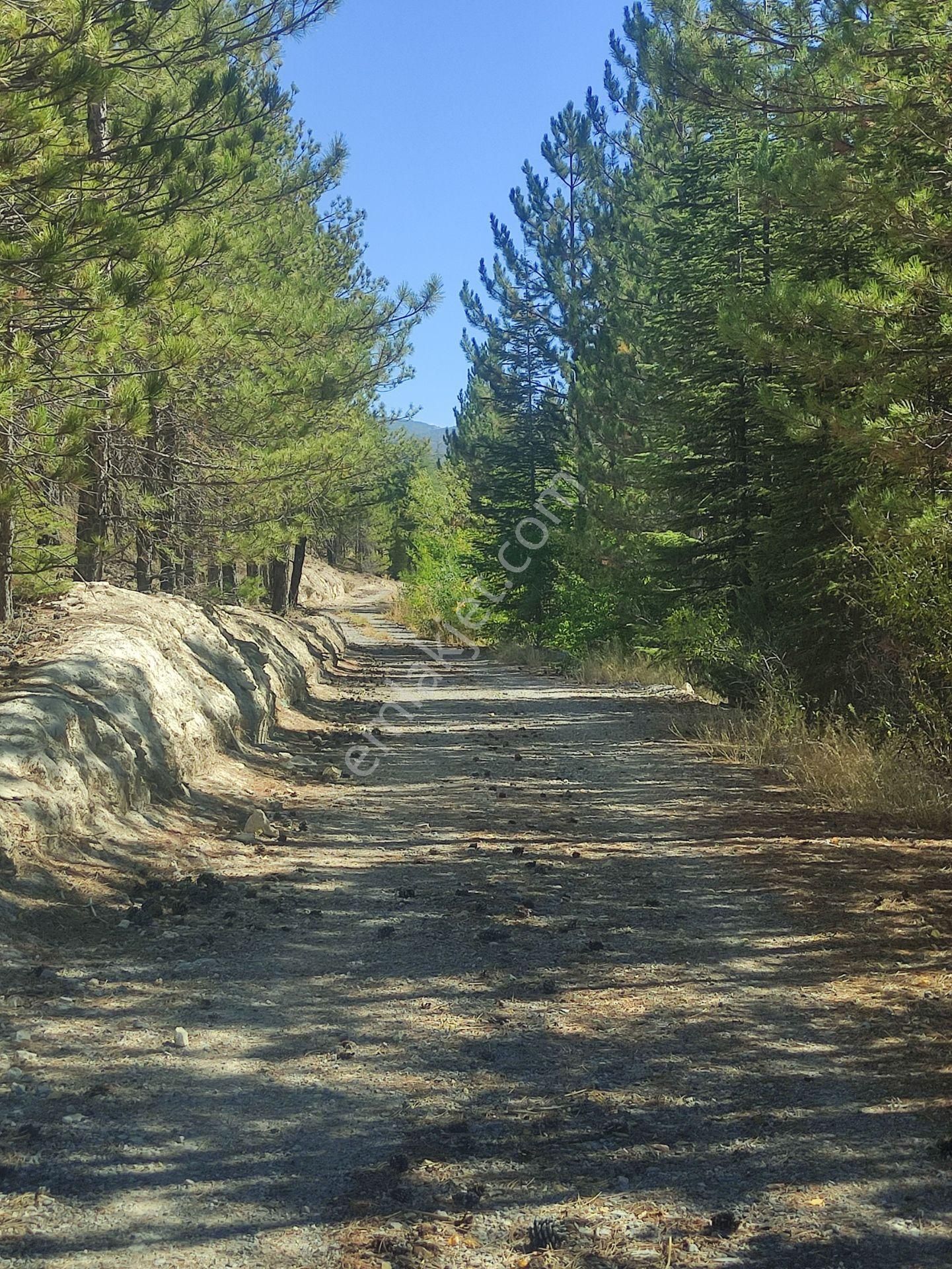 Özpınar ,dan Tol Satılık Sulu Tarla 4400 M2 Anayola 1 Km. - Görsel 12