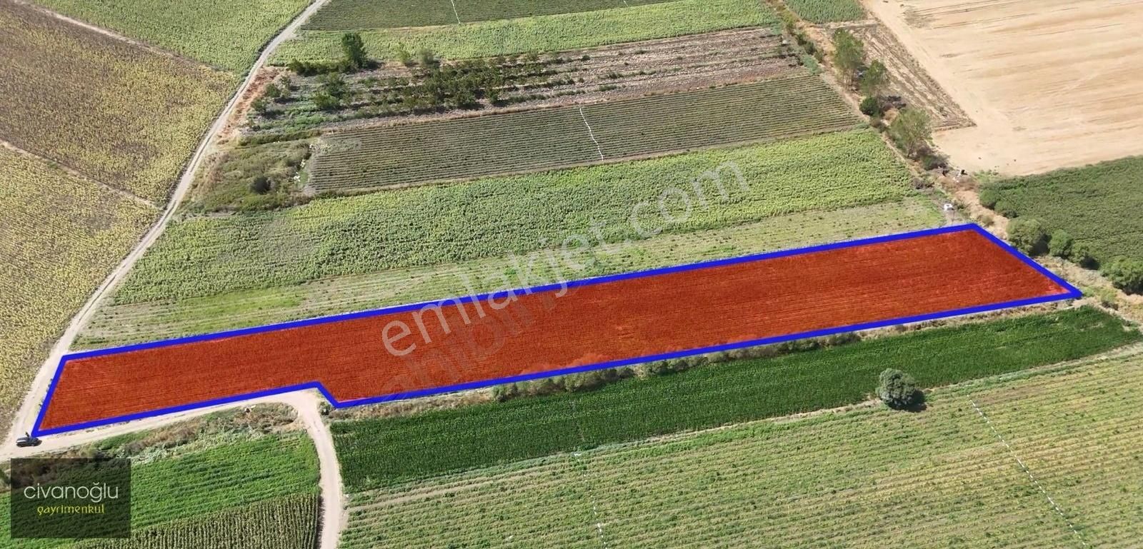 Karacabey Danışment'te 8250m² Yatırımlık Arazi - Görsel 2