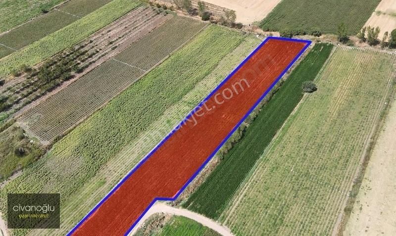 Karacabey Danışment'te 8250m² Yatırımlık Arazi - Görsel 4
