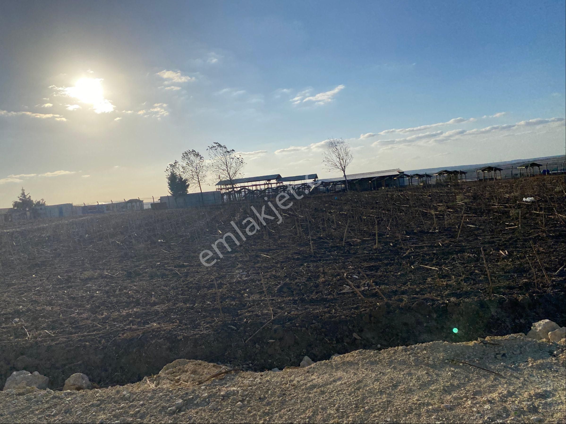 İstanbul Silivri Değirmenköy Sahibinden Satılık Arsa - Görsel 8