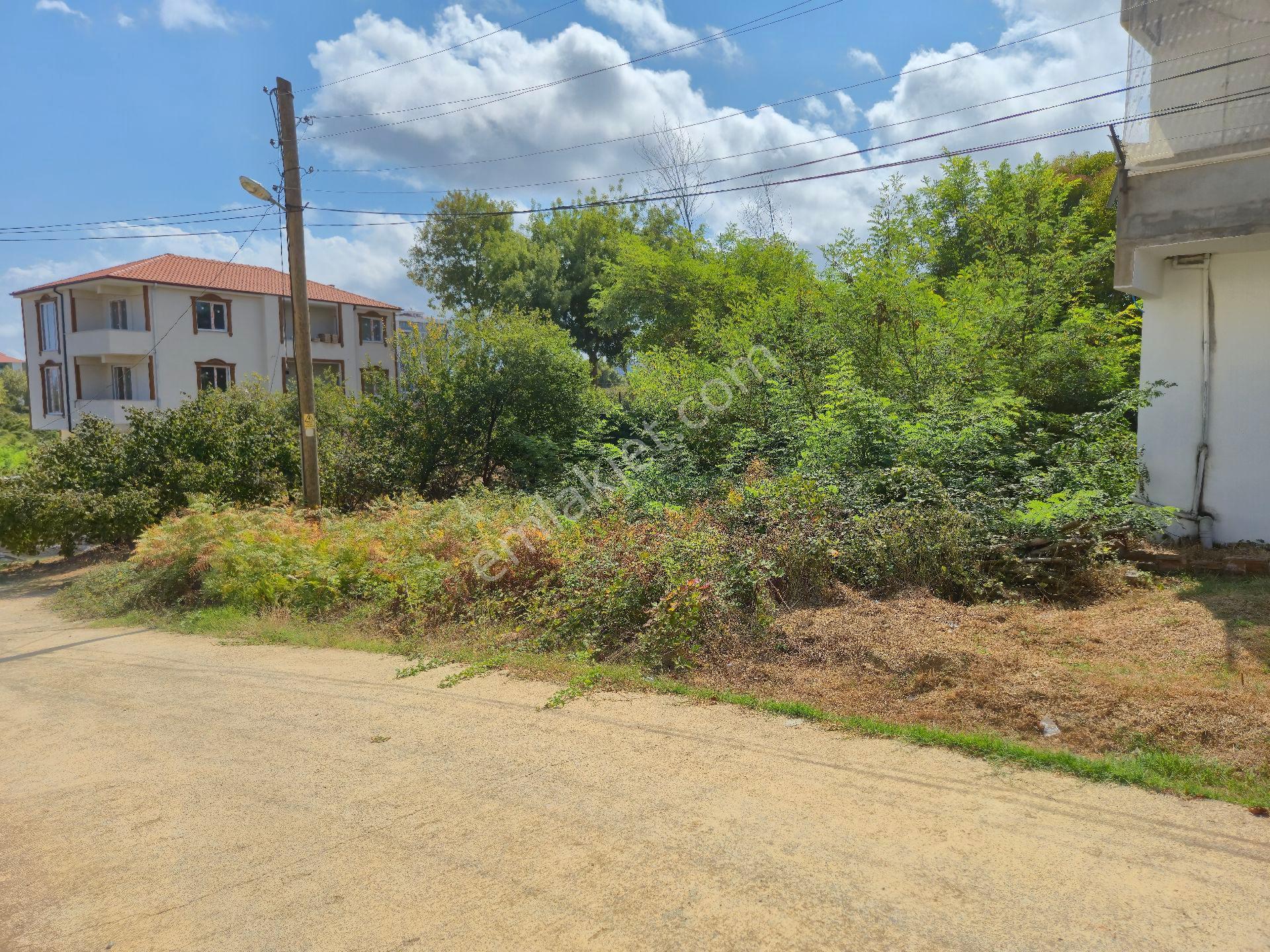 Realty Worlddan Kocaali Ağalarda 218m2 Arsa %25 3 Kat Yatırımlık - Görsel 13