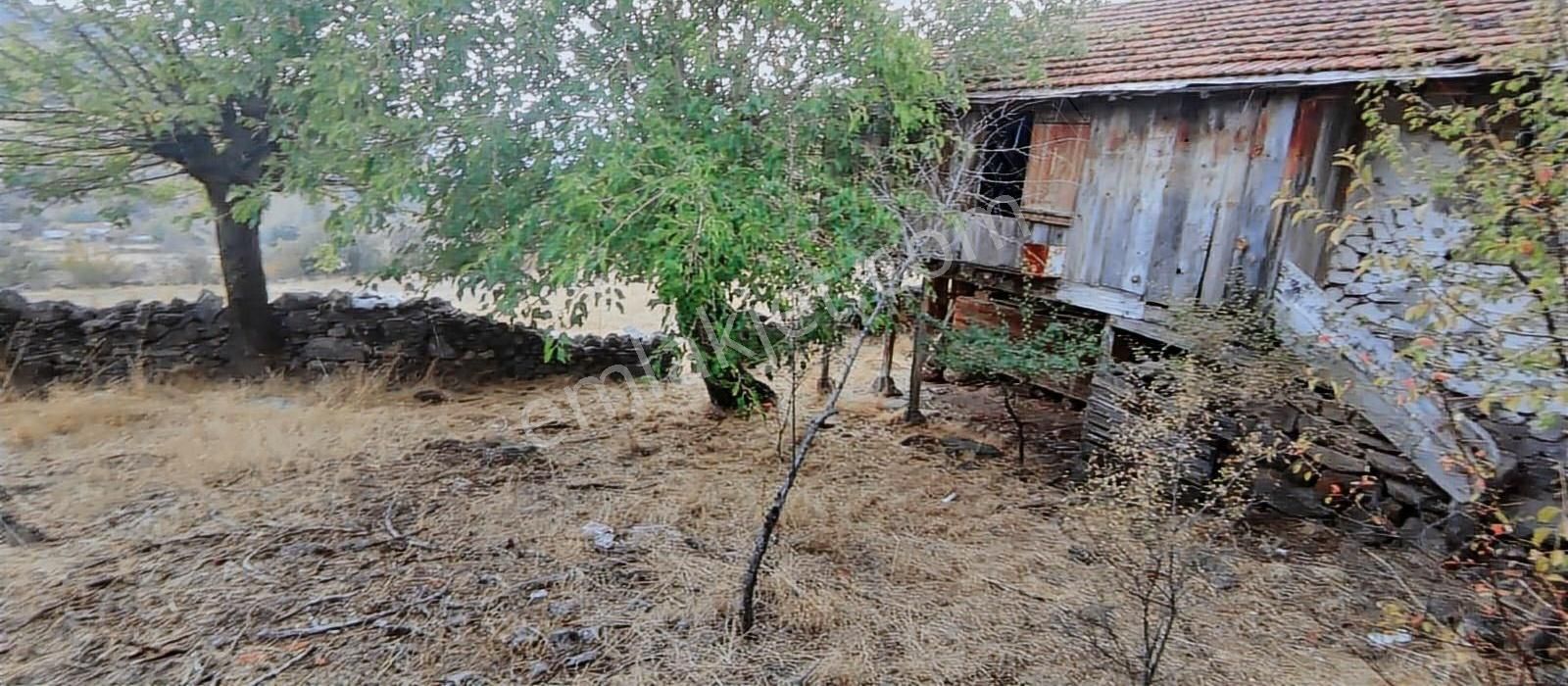 6650 M2 Ev Dam Bahçe Ve Tarlasıyla Muazzam Konumda - Görsel 14