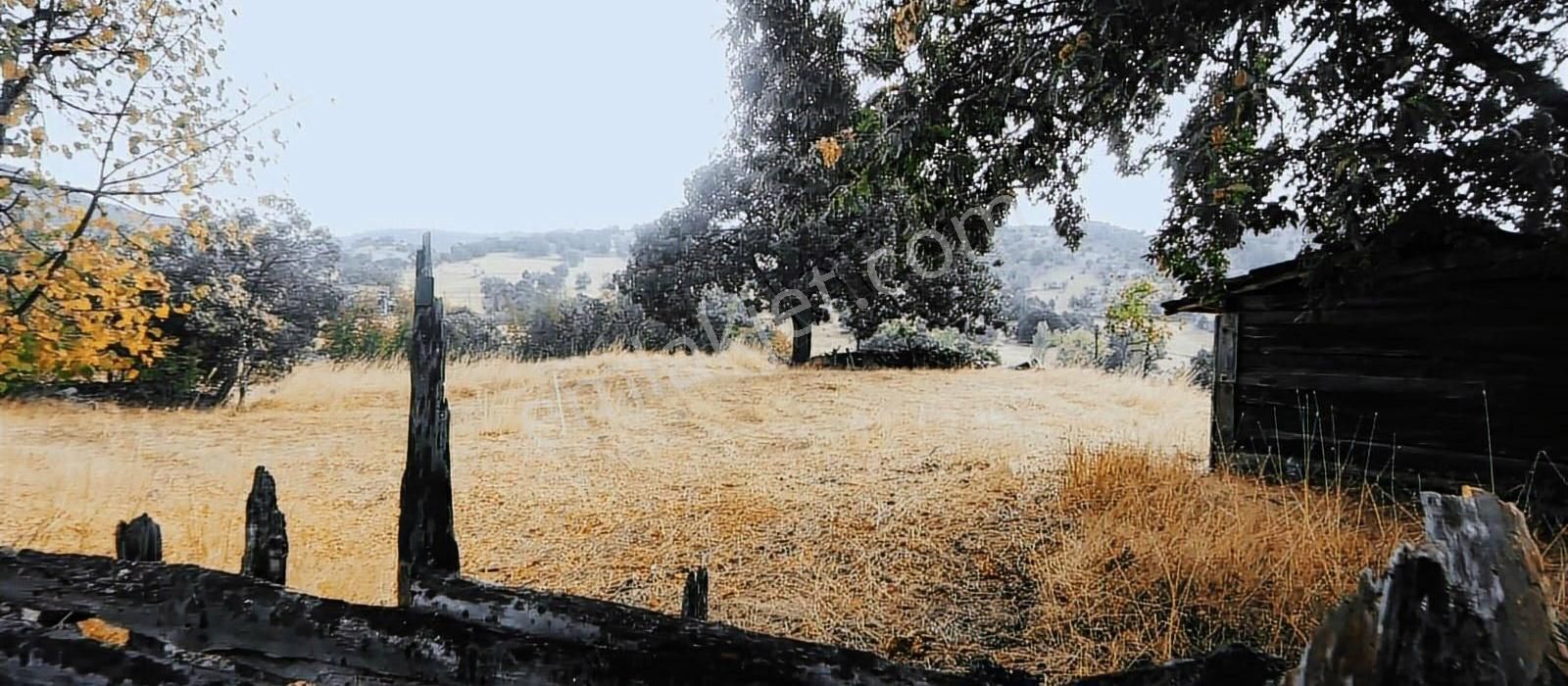 6650 M2 Ev Dam Bahçe Ve Tarlasıyla Muazzam Konumda - Görsel 5