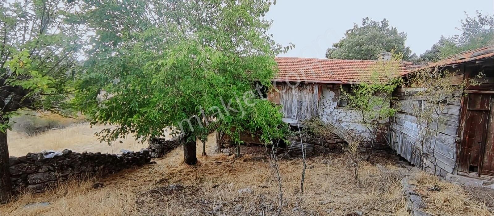 6650 M2 Ev Dam Bahçe Ve Tarlasıyla Muazzam Konumda