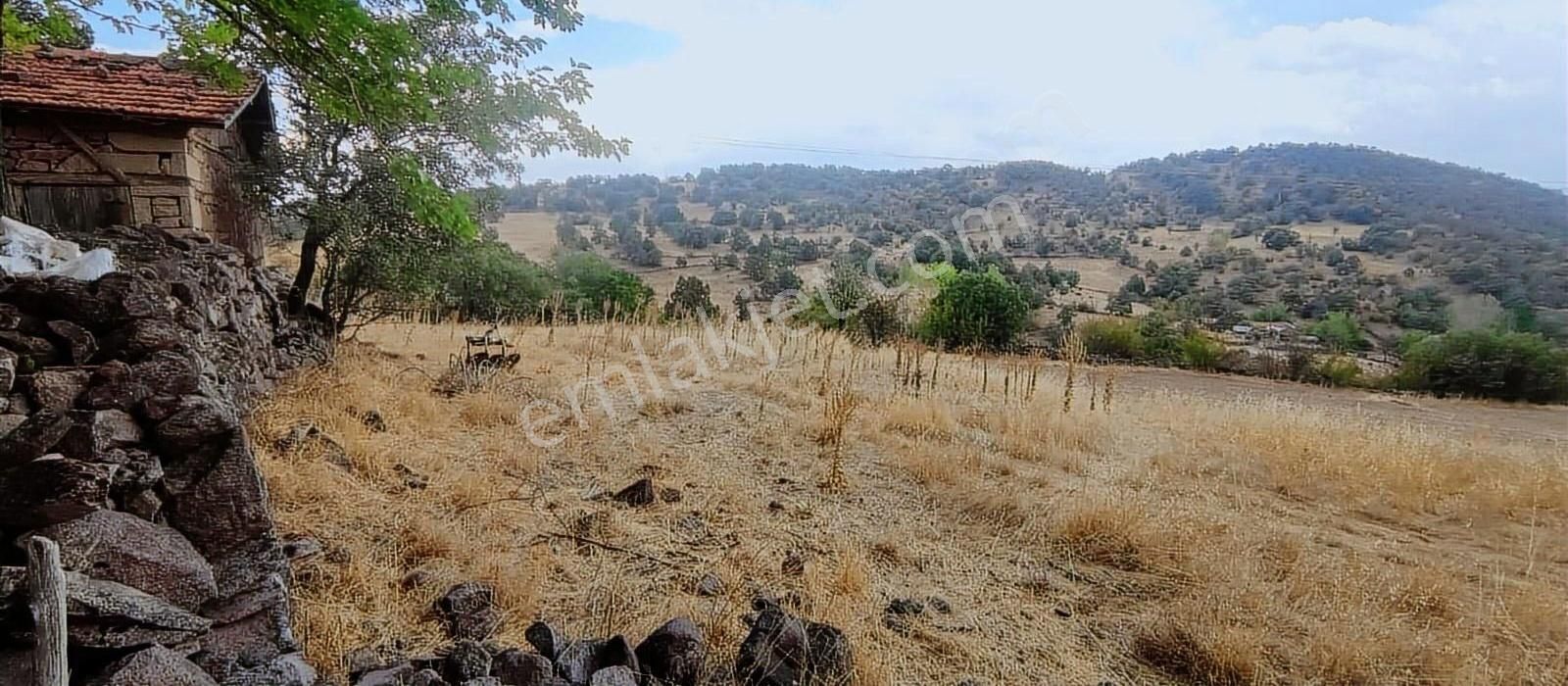 6650 M2 Ev Dam Bahçe Ve Tarlasıyla Muazzam Konumda - Görsel 8