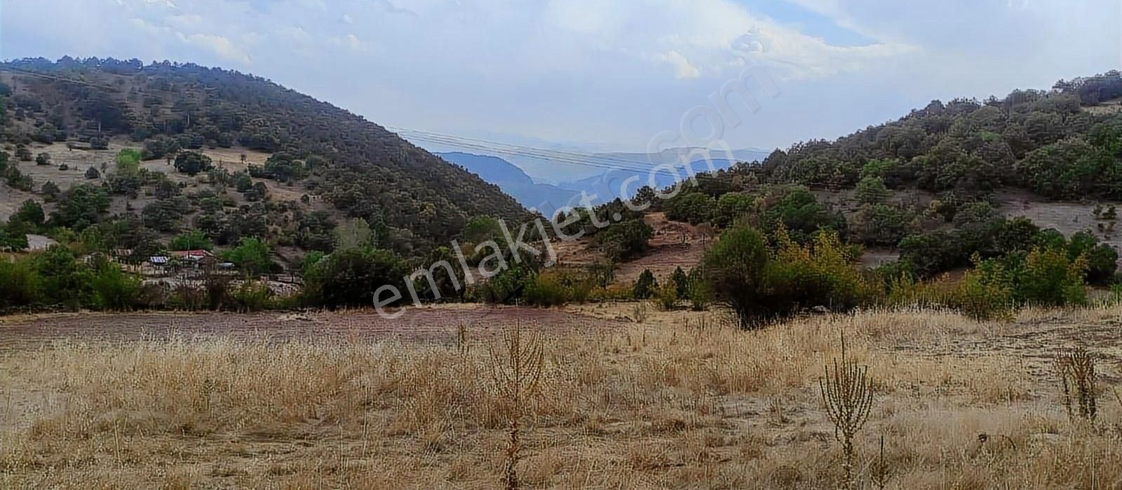 6650 M2 Ev Dam Bahçe Ve Tarlasıyla Muazzam Konumda - Görsel 15
