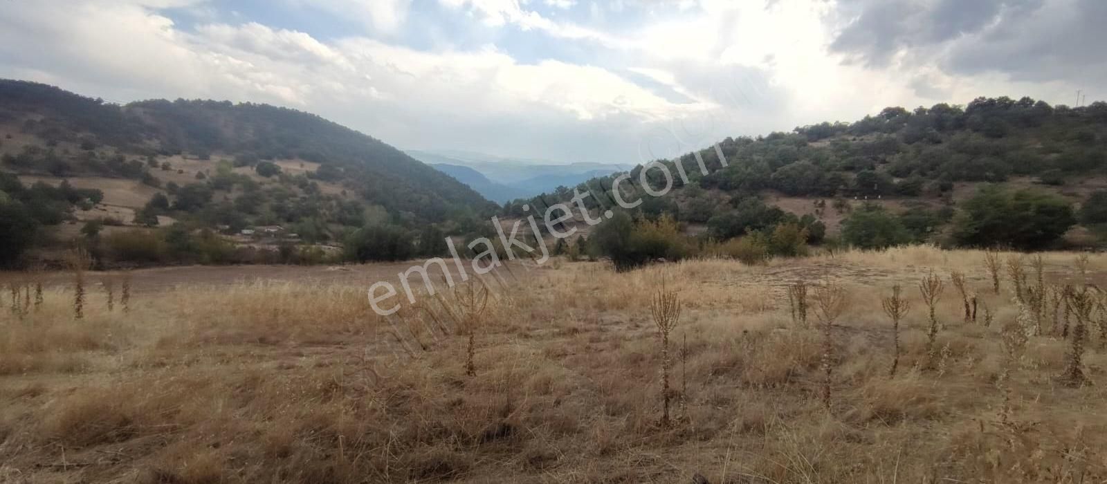 6650 M2 Ev Dam Bahçe Ve Tarlasıyla Muazzam Konumda - Görsel 2