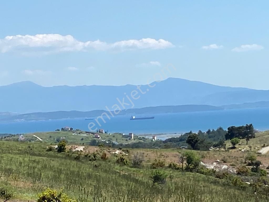 Dikili Çandarlıda Satlık Muhteşem Manzaralı 444m2 Köşe Arsa - Görsel 11