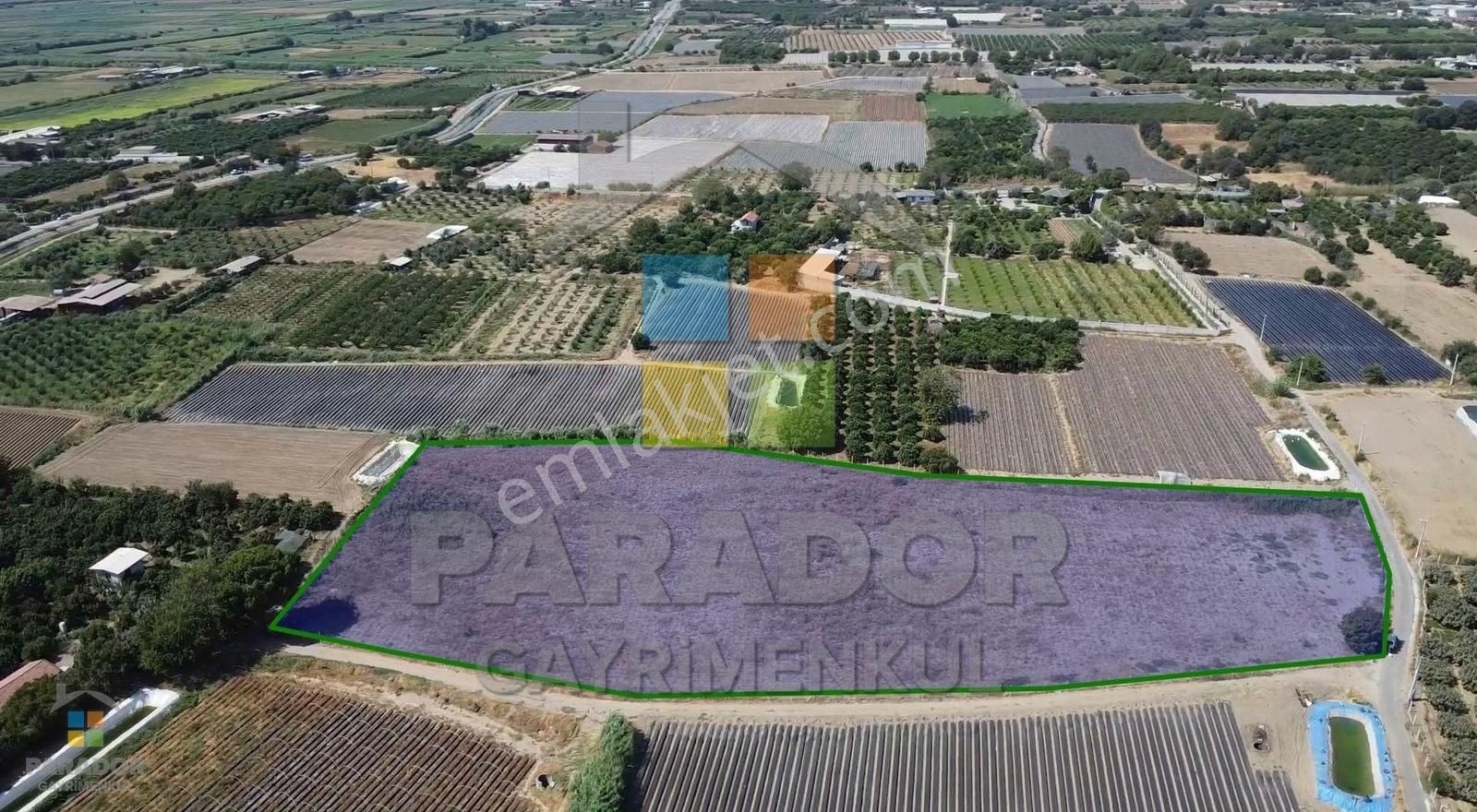 Aydın Sultanhisar Atça Mahallesinde Satılık 13230 M² Tarla - Görsel 10