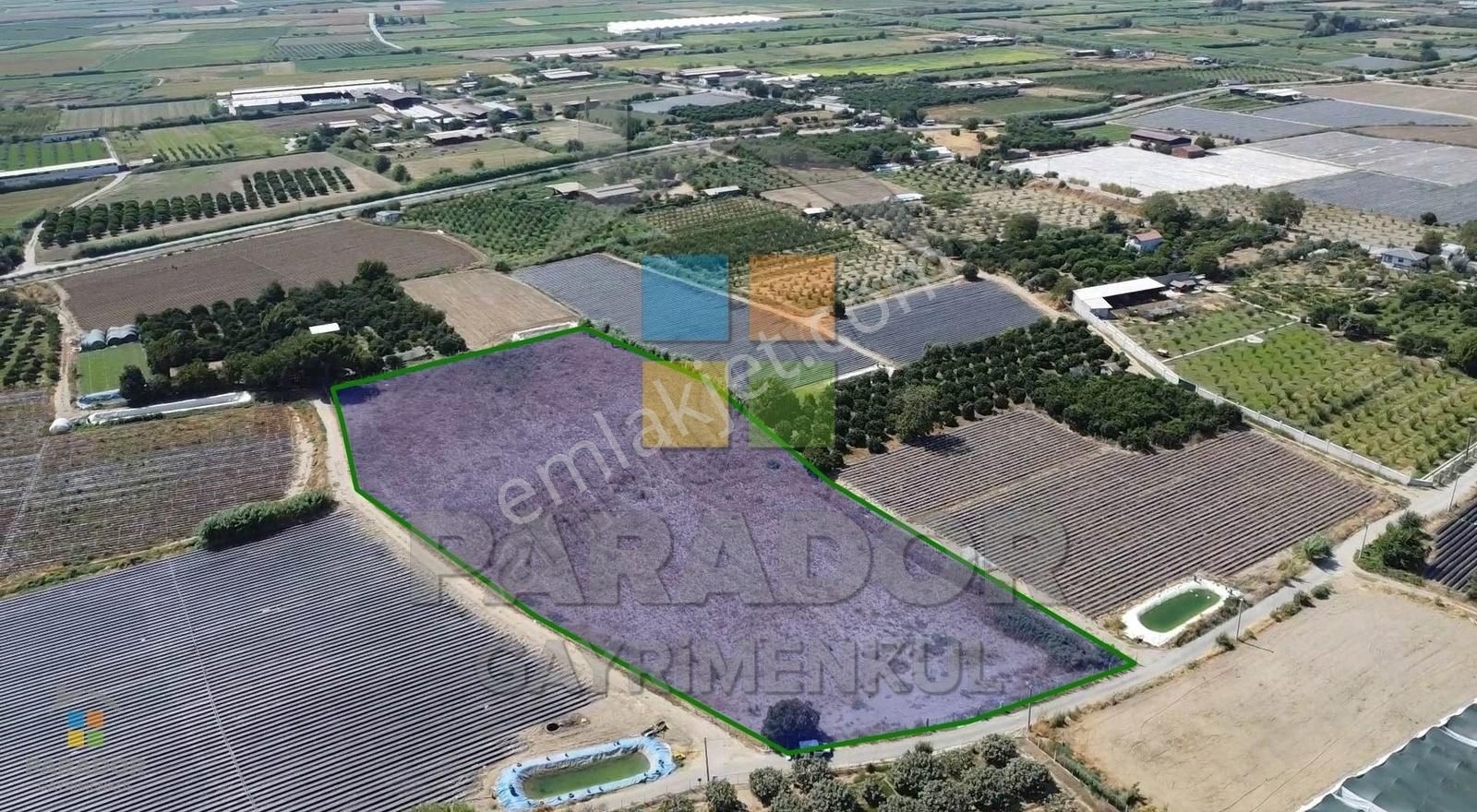 Aydın Sultanhisar Atça Mahallesinde Satılık 13230 M² Tarla - Görsel 5