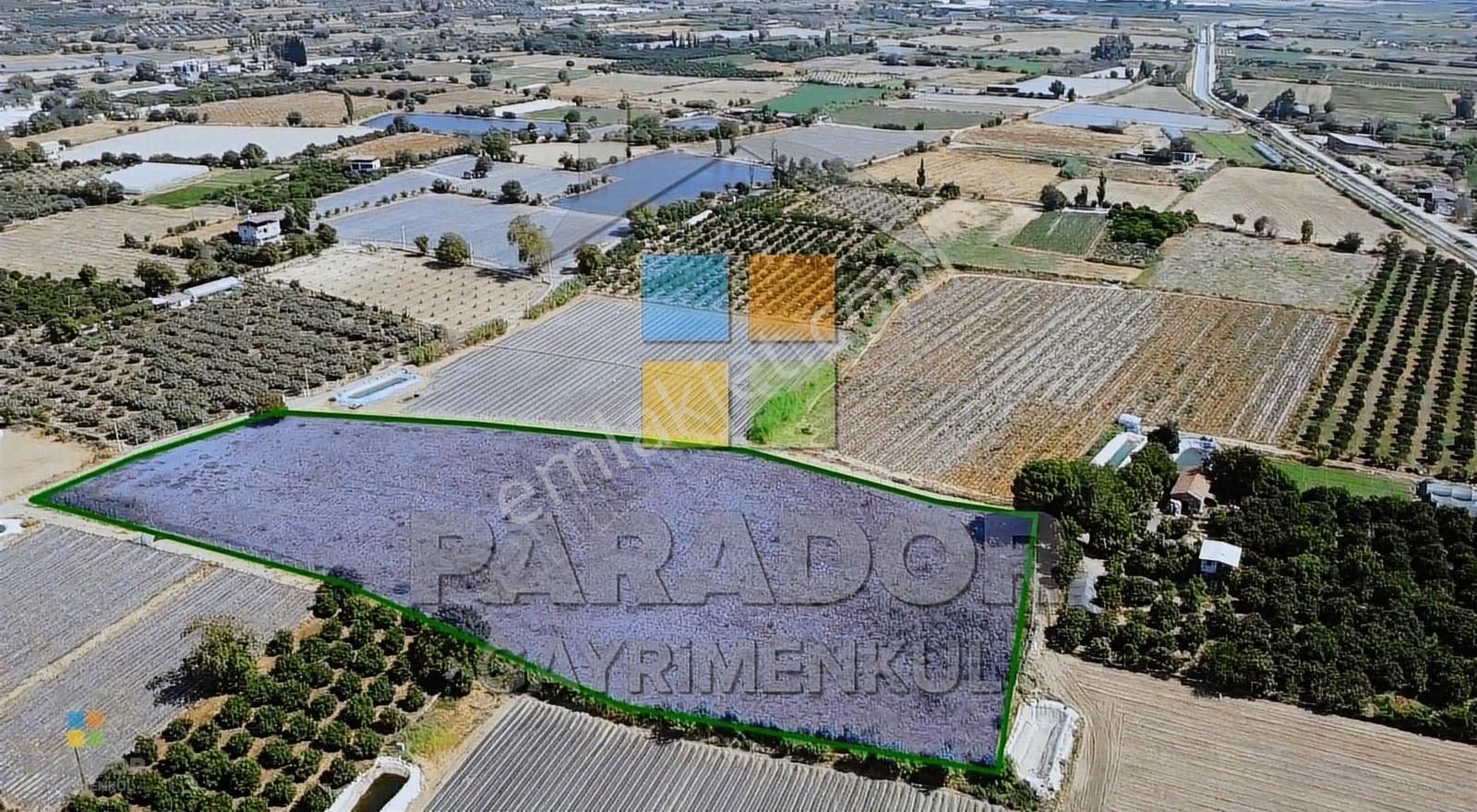 Aydın Sultanhisar Atça Mahallesinde Satılık 13230 M² Tarla