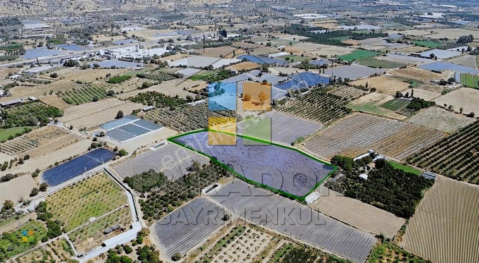 Aydın Sultanhisar Atça Mahallesinde Satılık 13230 M² Tarla - Görsel 2