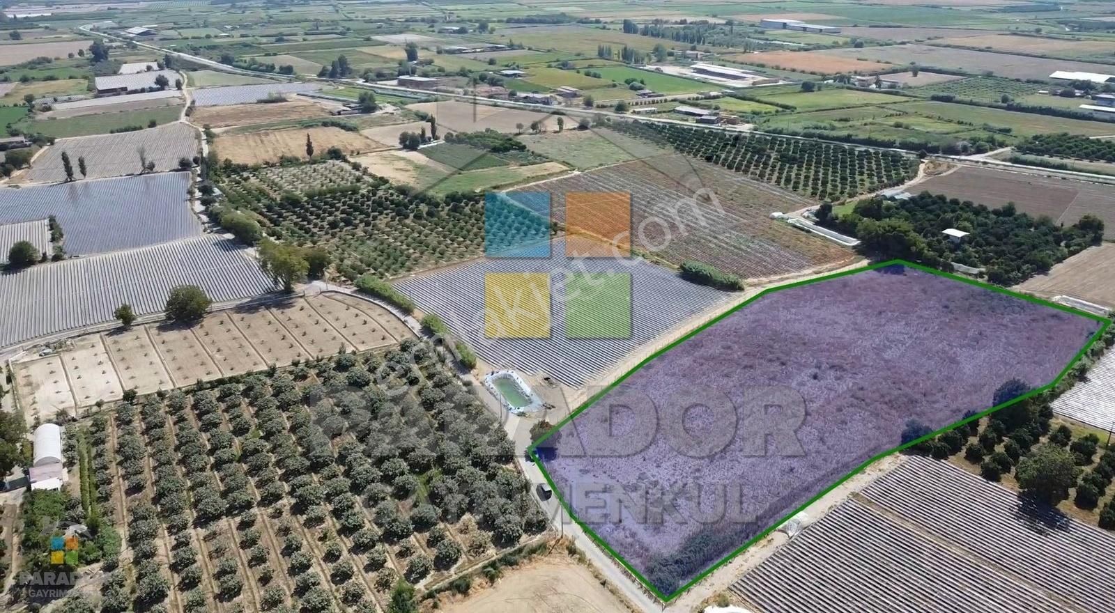 Aydın Sultanhisar Atça Mahallesinde Satılık 13230 M² Tarla - Görsel 7