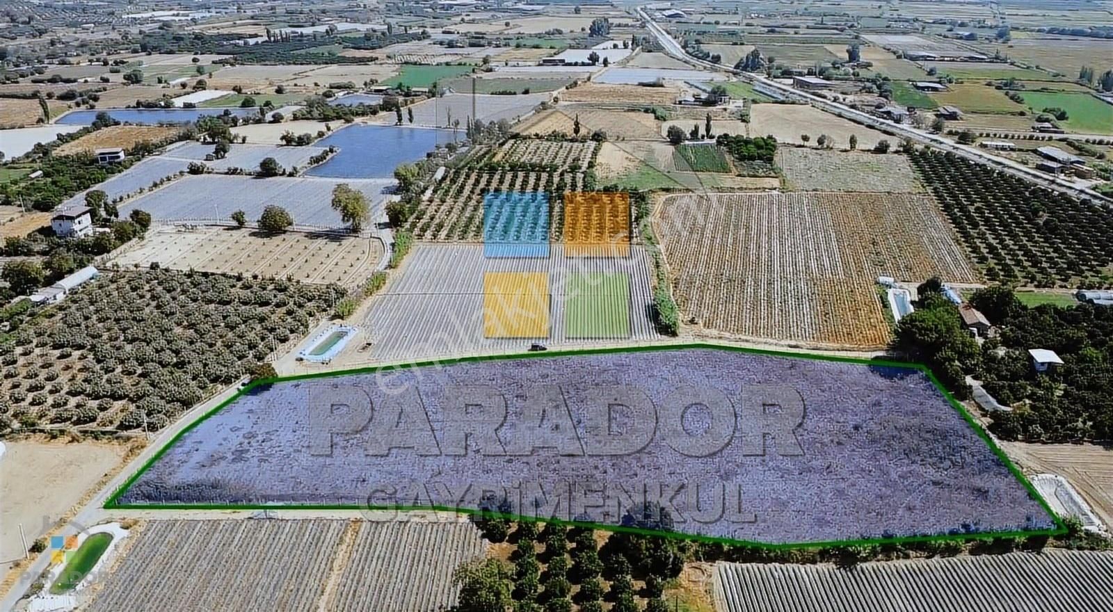 Aydın Sultanhisar Atça Mahallesinde Satılık 13230 M² Tarla - Görsel 4