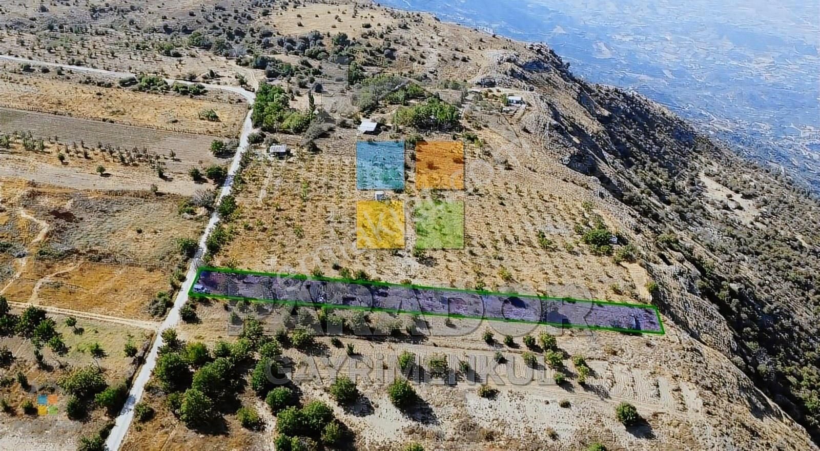 Aydın Nazilli Yaylapınar Mahallesinde Satılık 2567 M² Bahçe - Görsel 4