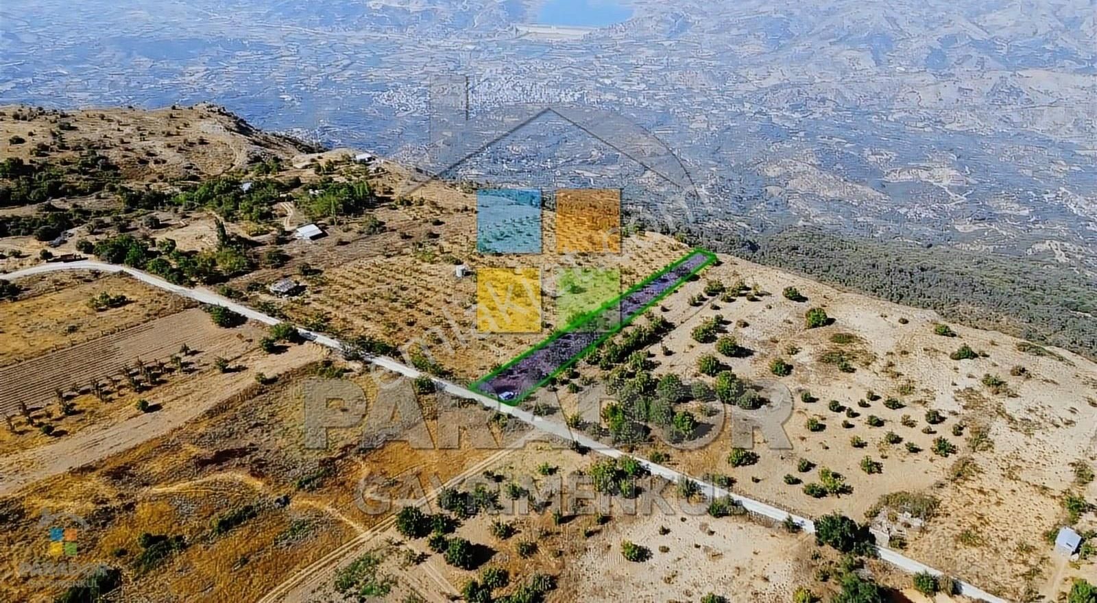 Aydın Nazilli Yaylapınar Mahallesinde Satılık 2567 M² Bahçe - Görsel 2