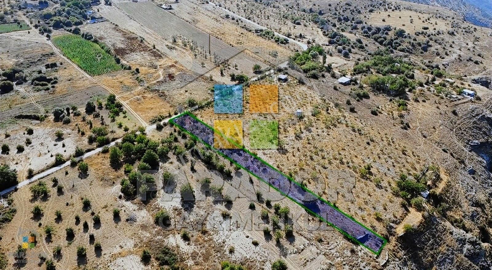 Aydın Nazilli Yaylapınar Mahallesinde Satılık 2567 M² Bahçe - Görsel 3