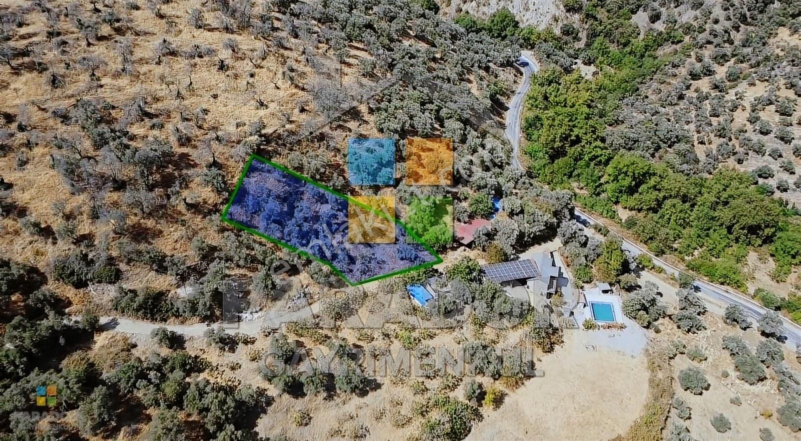 Aydın Sultanhisar Demirhan Mahallesi Satılık 1330 M² Zeytinlik - Görsel 3