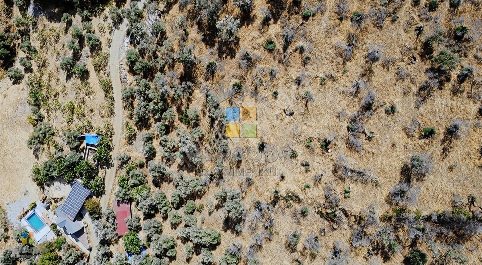 Aydın Sultanhisar Demirhan Mahallesi Satılık 1330 M² Zeytinlik - Görsel 5