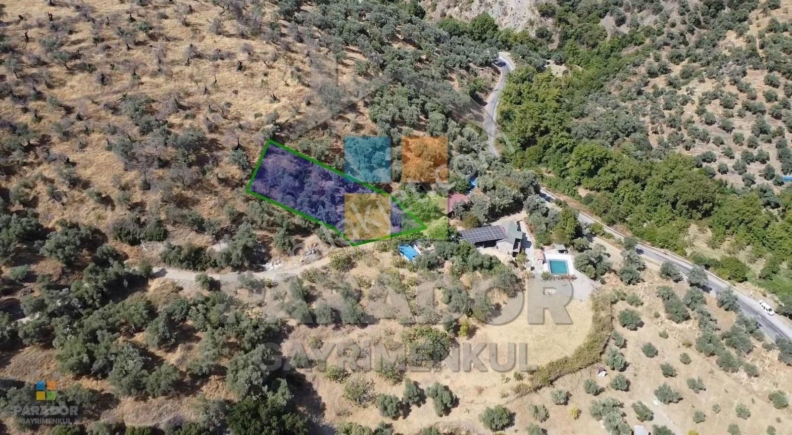 Aydın Sultanhisar Demirhan Mahallesi Satılık 1330 M² Zeytinlik - Görsel 4