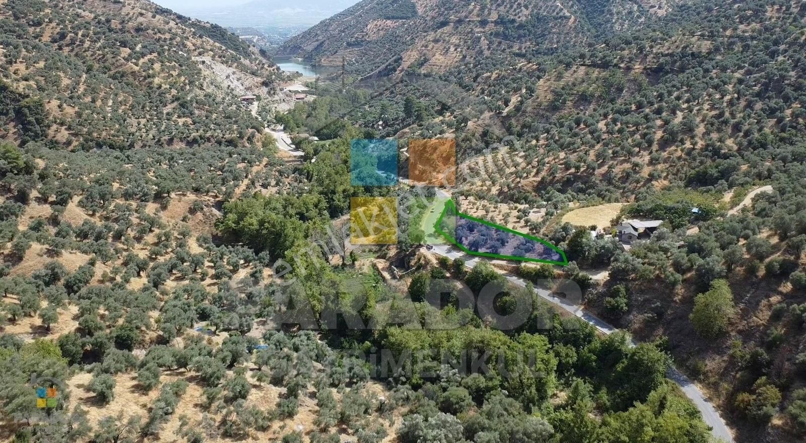 Aydın Sultanhisar Demirhan Mahallesi Satılık 1796 M² Zeytinlik - Görsel 4